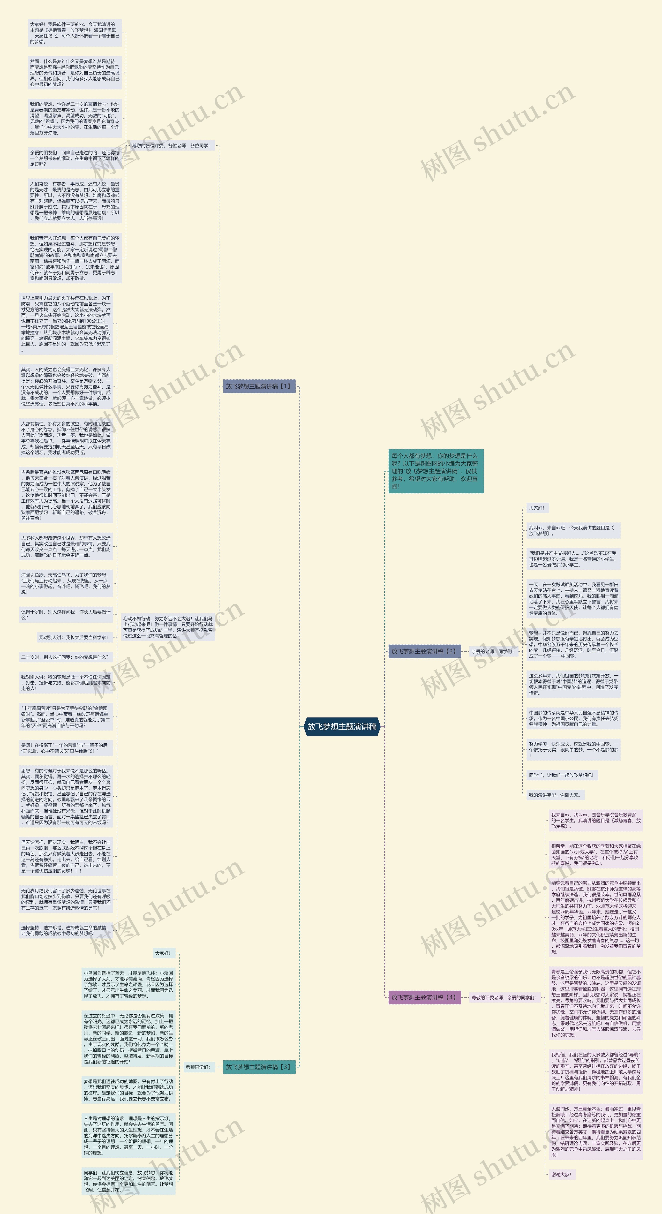 放飞梦想主题演讲稿思维导图