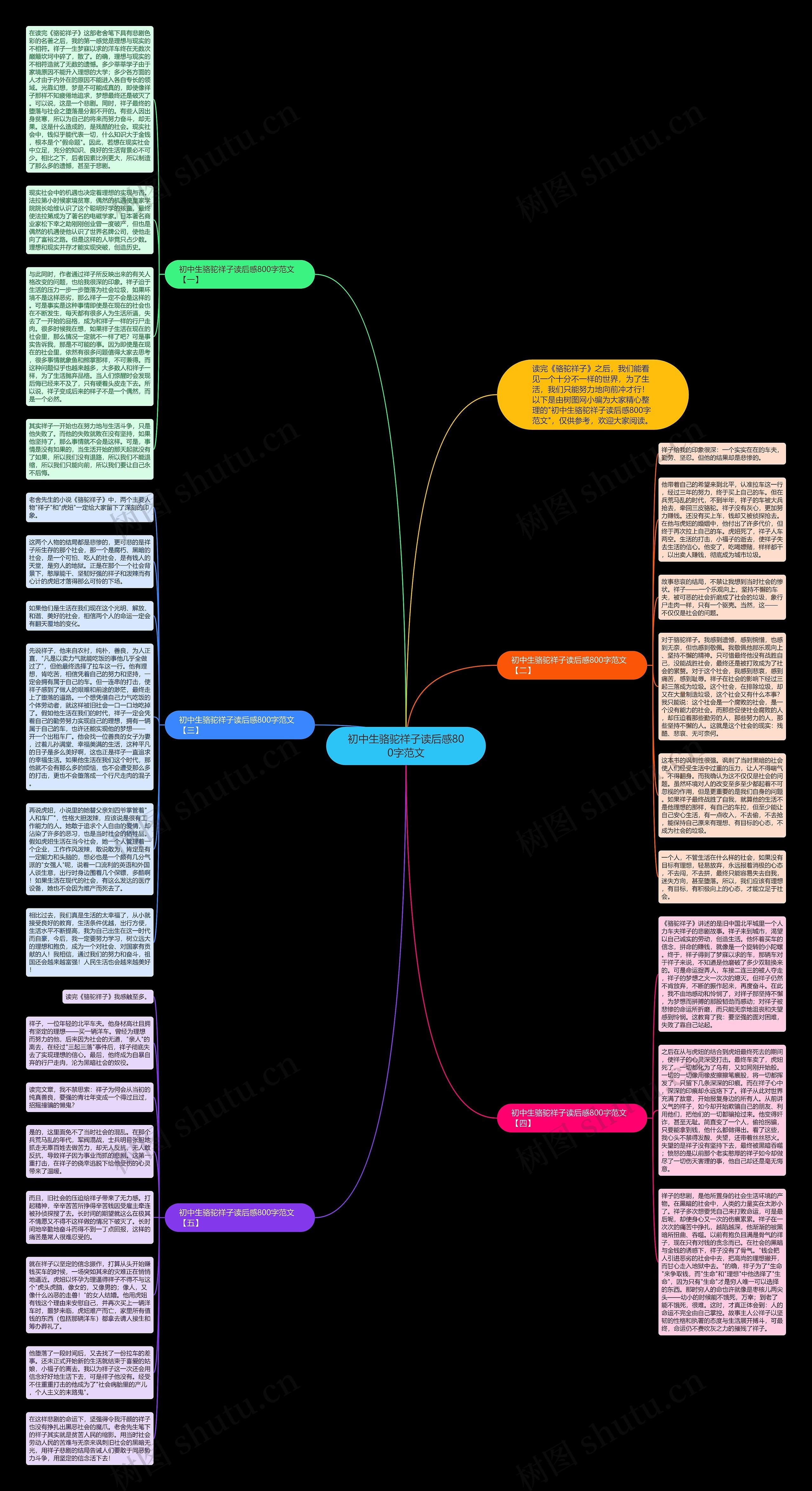 初中生骆驼祥子读后感800字范文思维导图