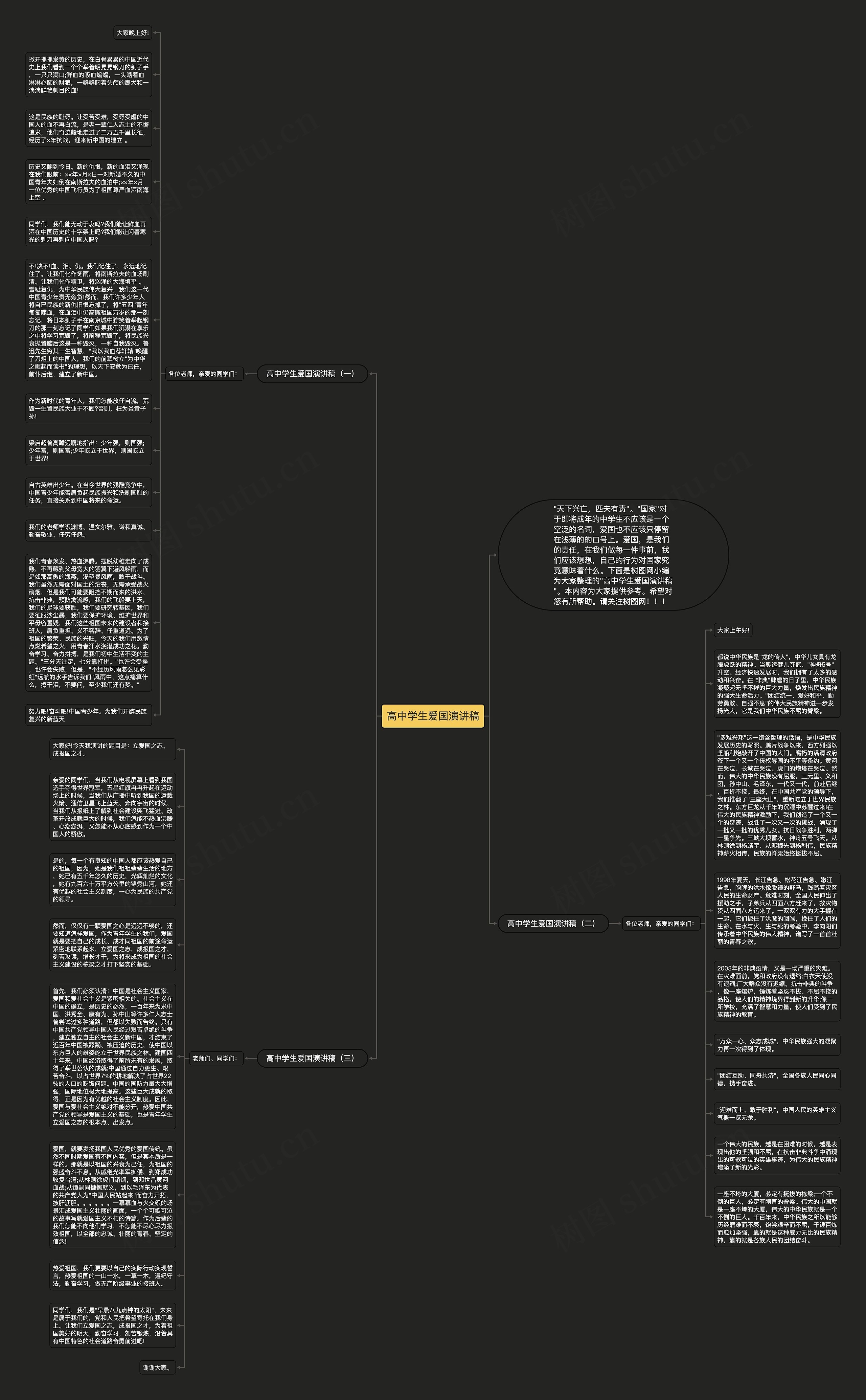 高中学生爱国演讲稿思维导图