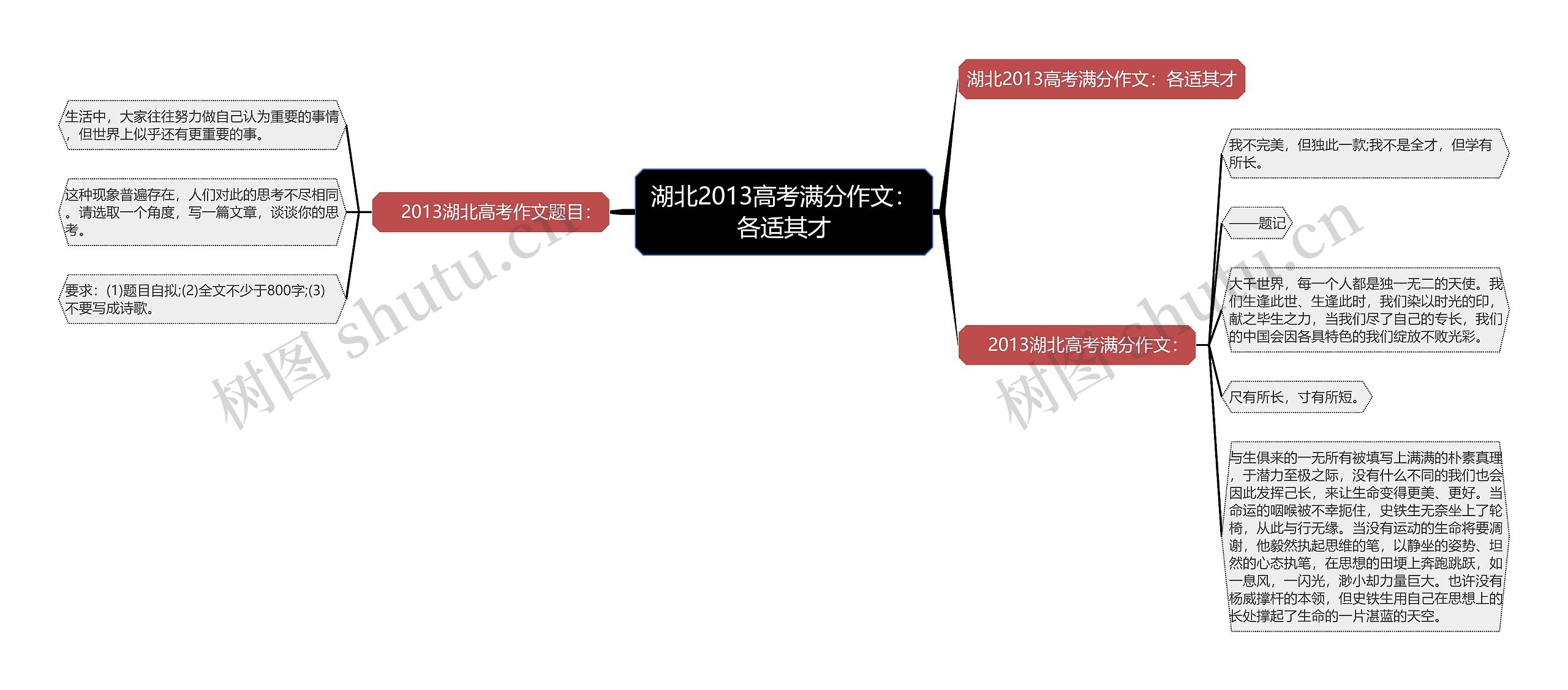 湖北2013高考满分作文：各适其才