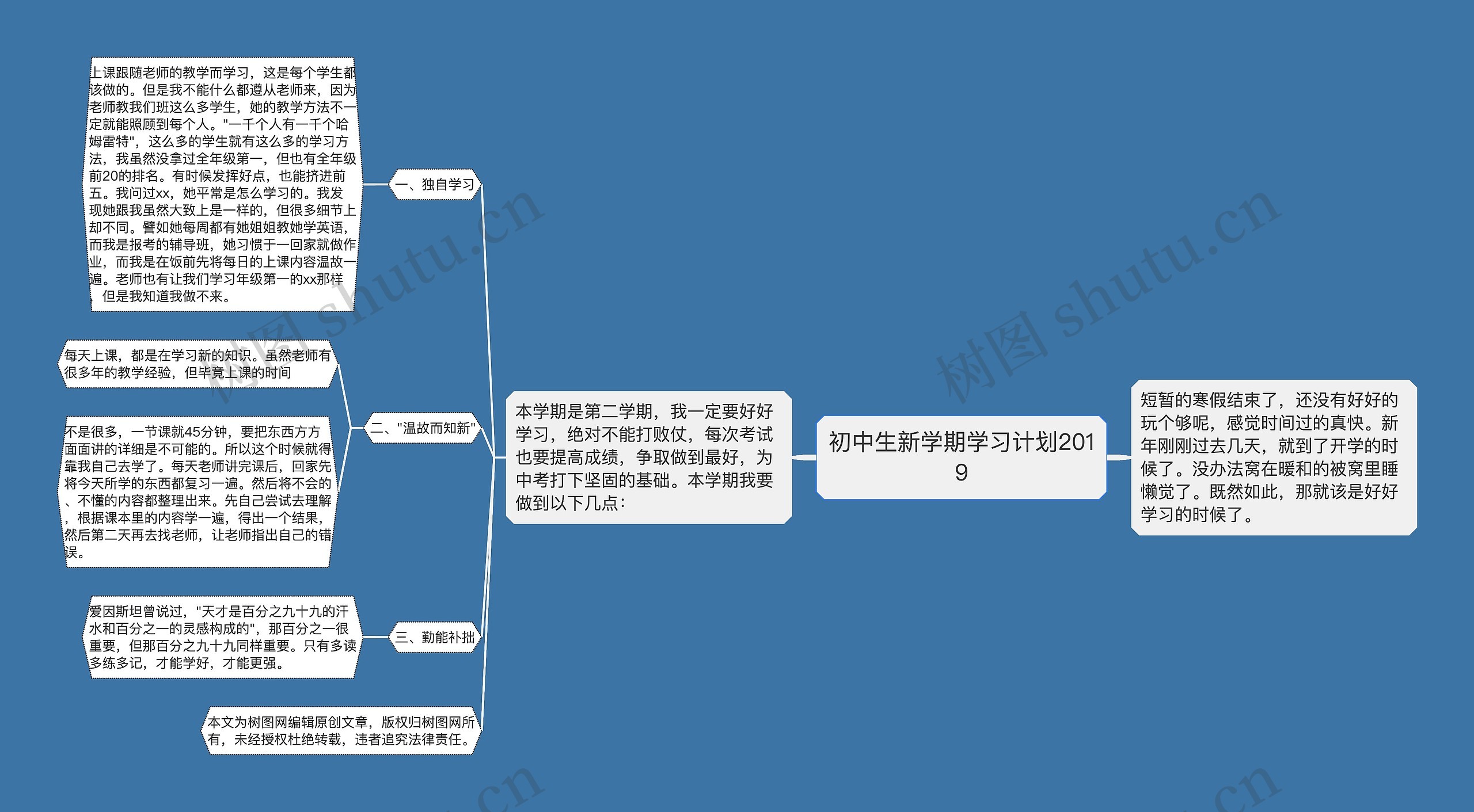 初中生新学期学习计划2019思维导图