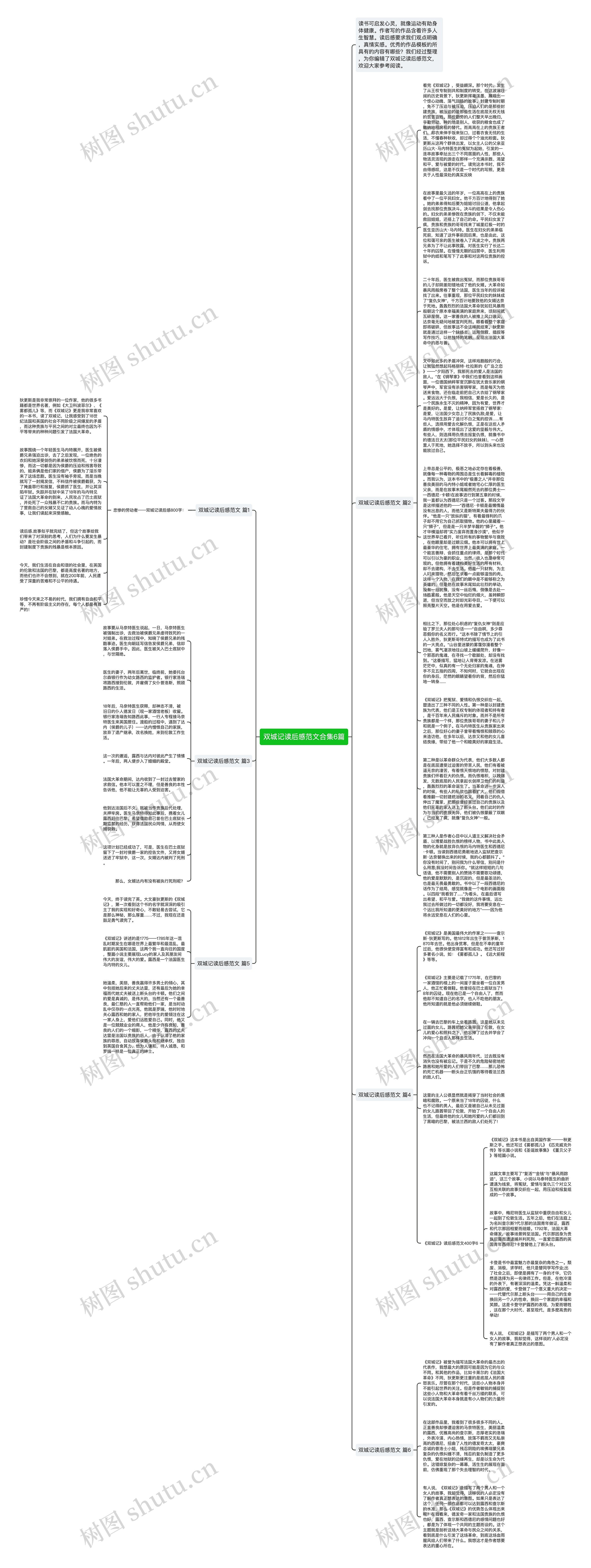 双城记读后感范文合集6篇思维导图