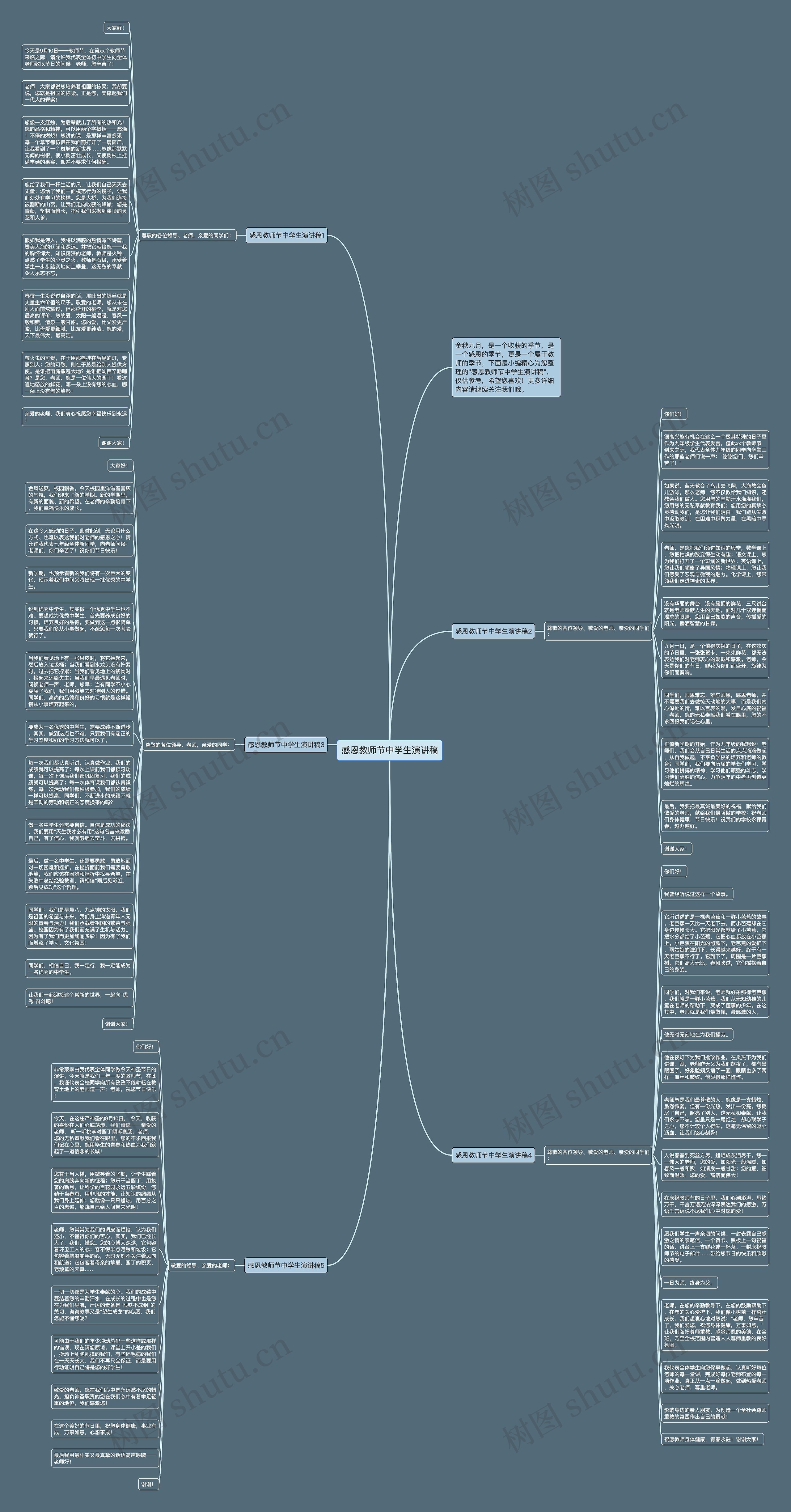 感恩教师节中学生演讲稿思维导图