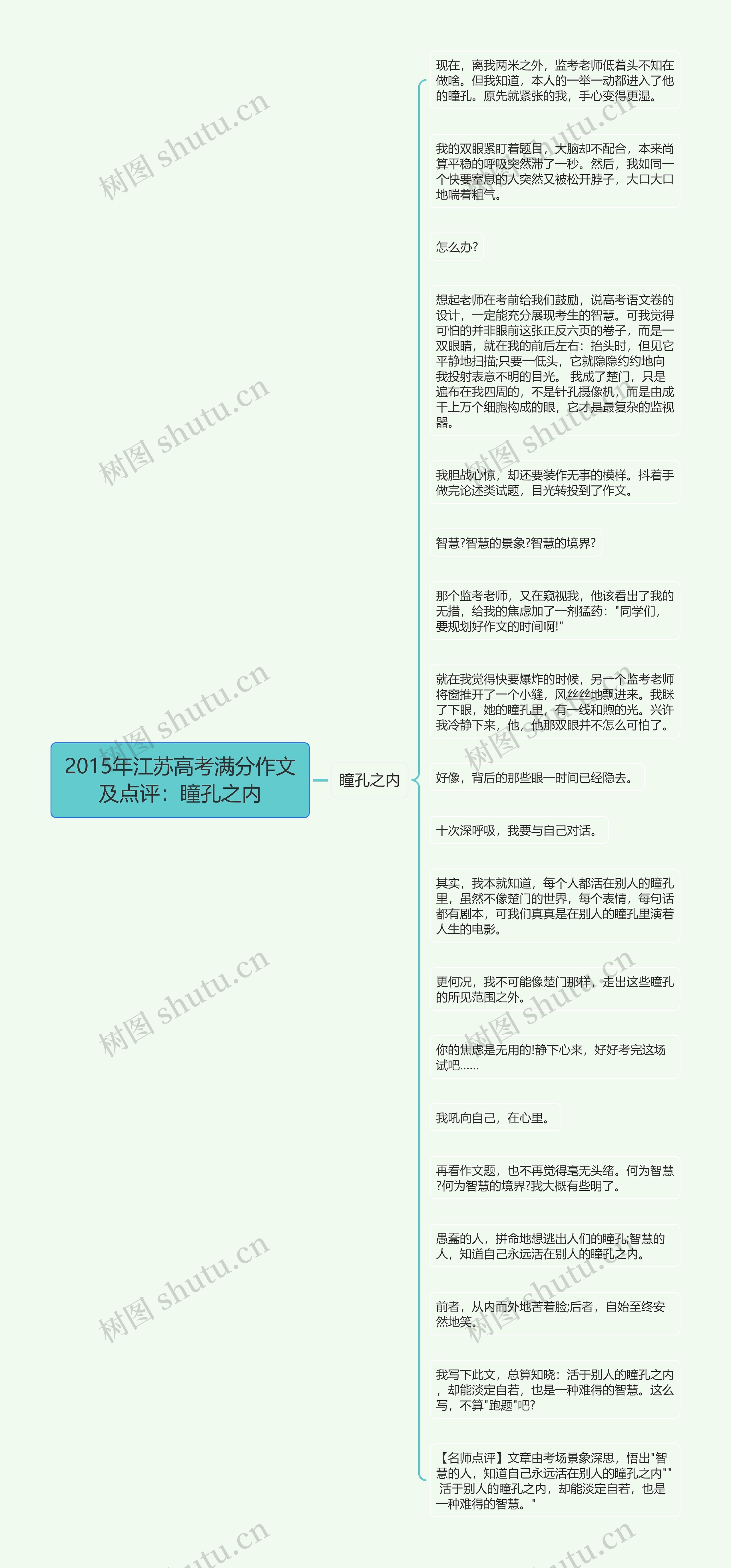 2015年江苏高考满分作文及点评：瞳孔之内