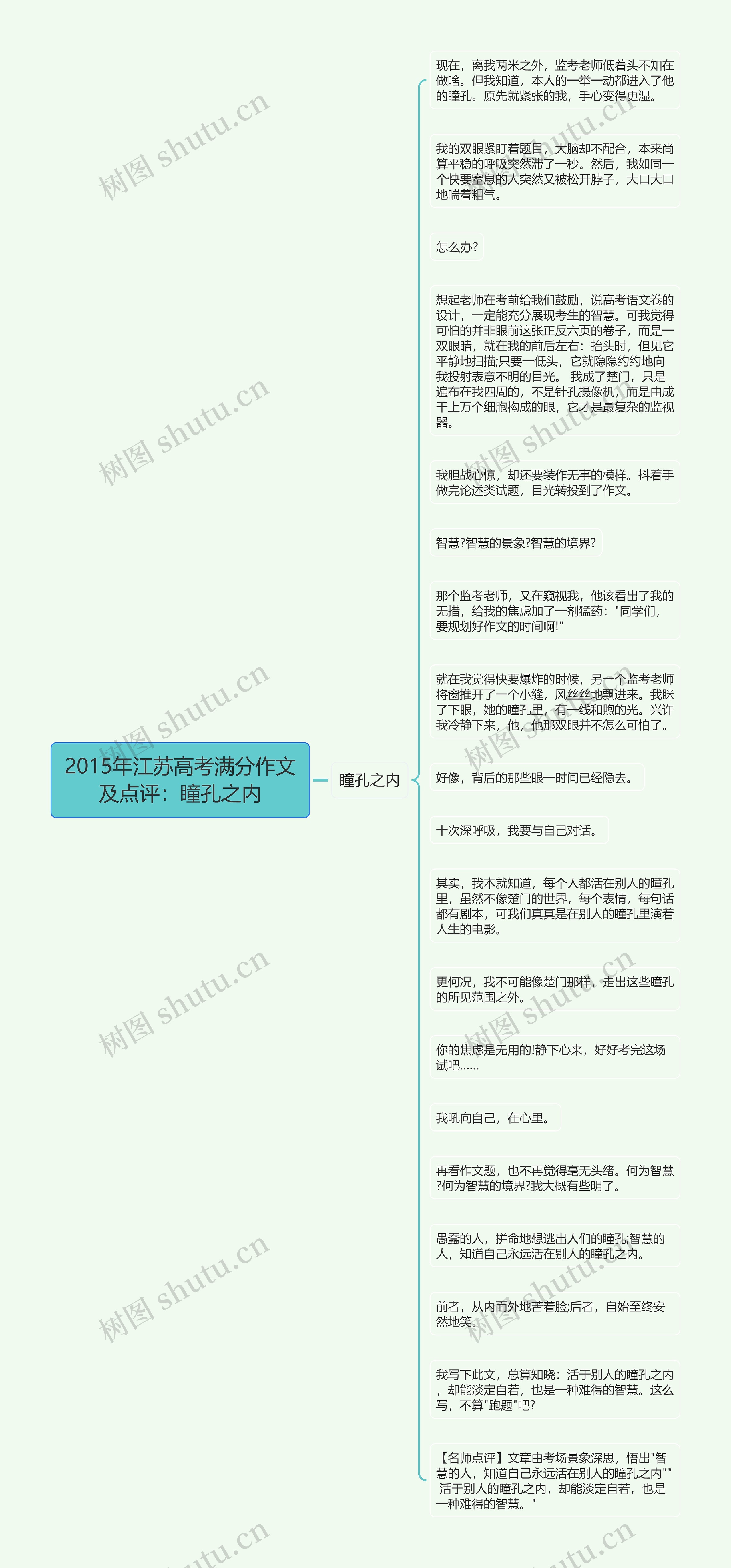 2015年江苏高考满分作文及点评：瞳孔之内思维导图