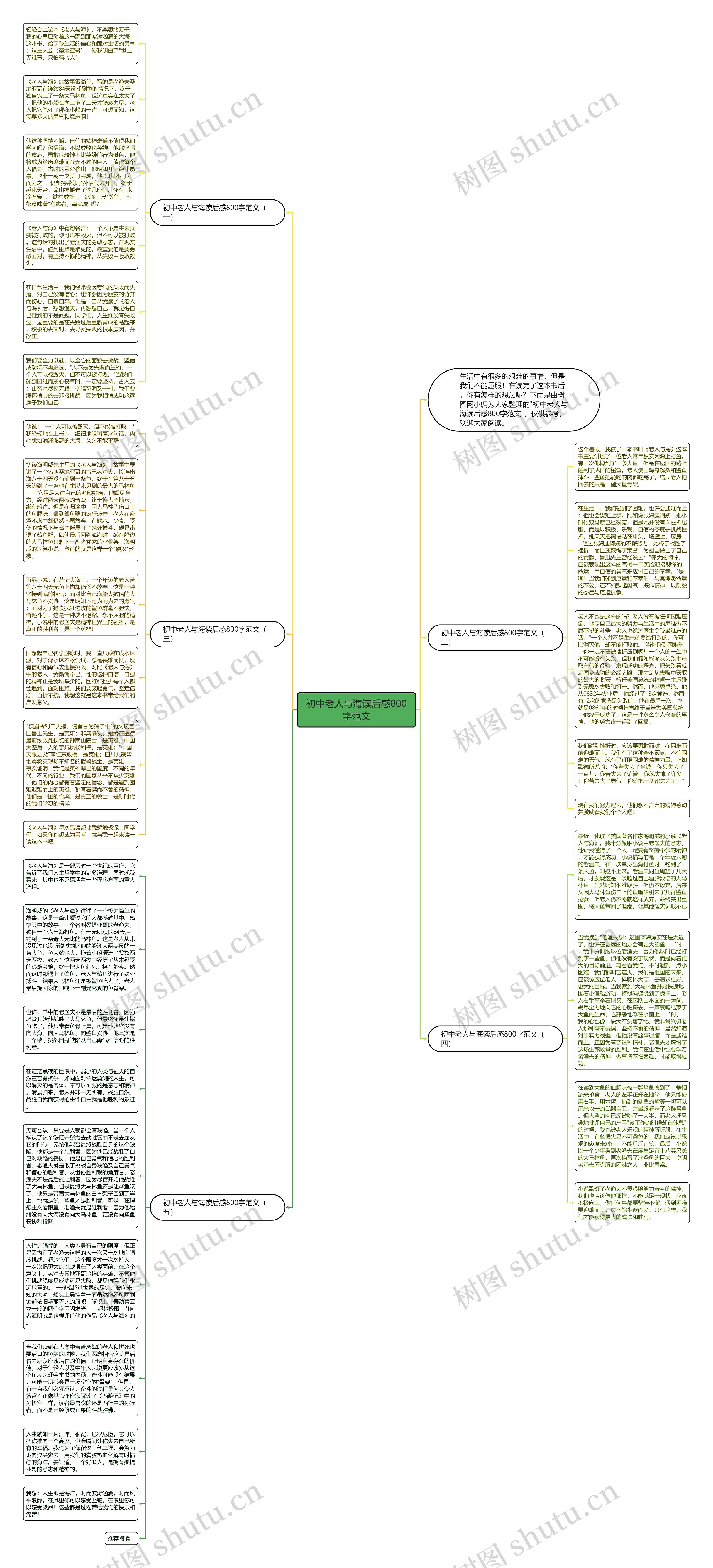 初中老人与海读后感800字范文思维导图