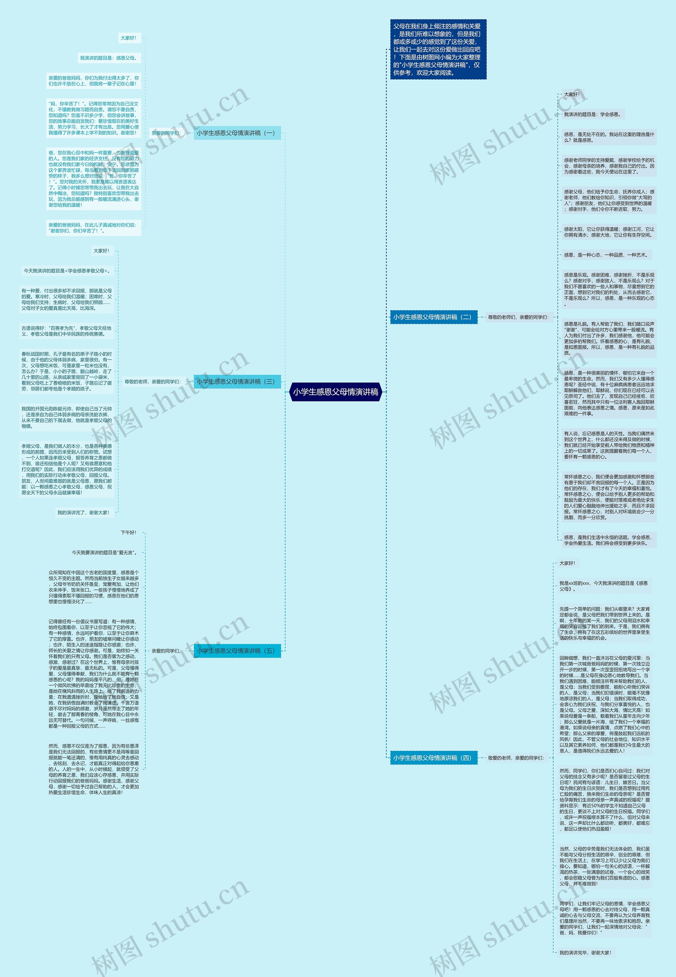 小学生感恩父母情演讲稿思维导图