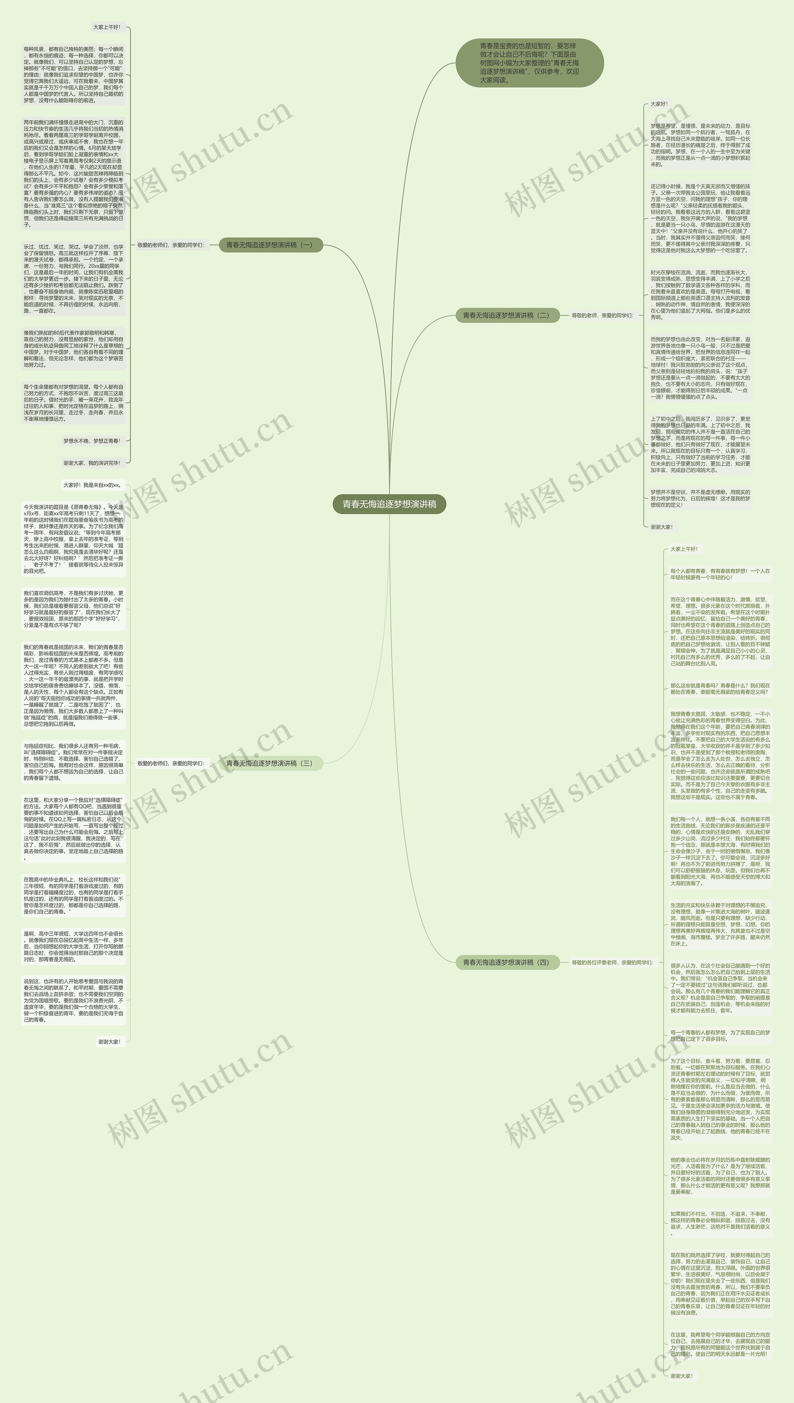 青春无悔追逐梦想演讲稿思维导图