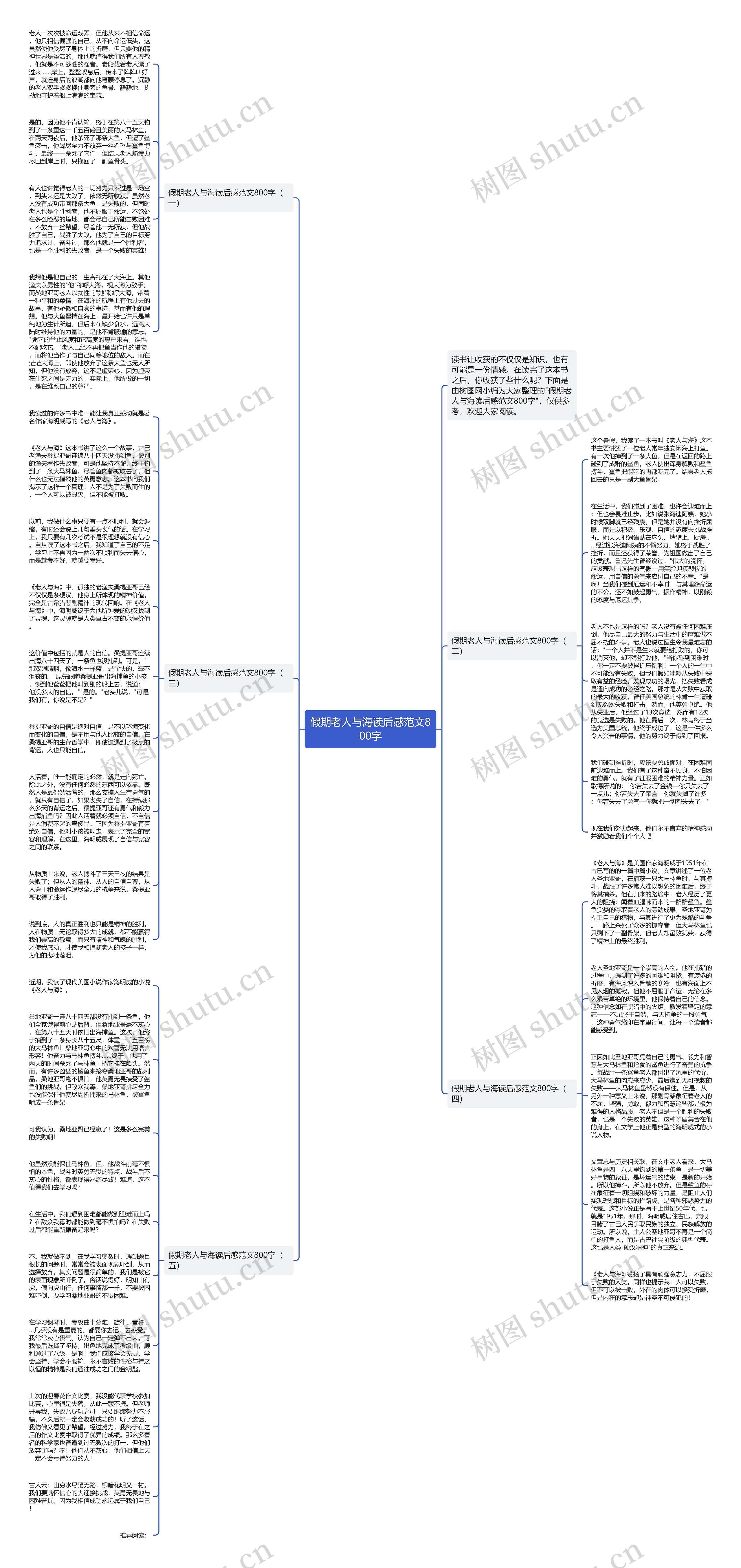 假期老人与海读后感范文800字
