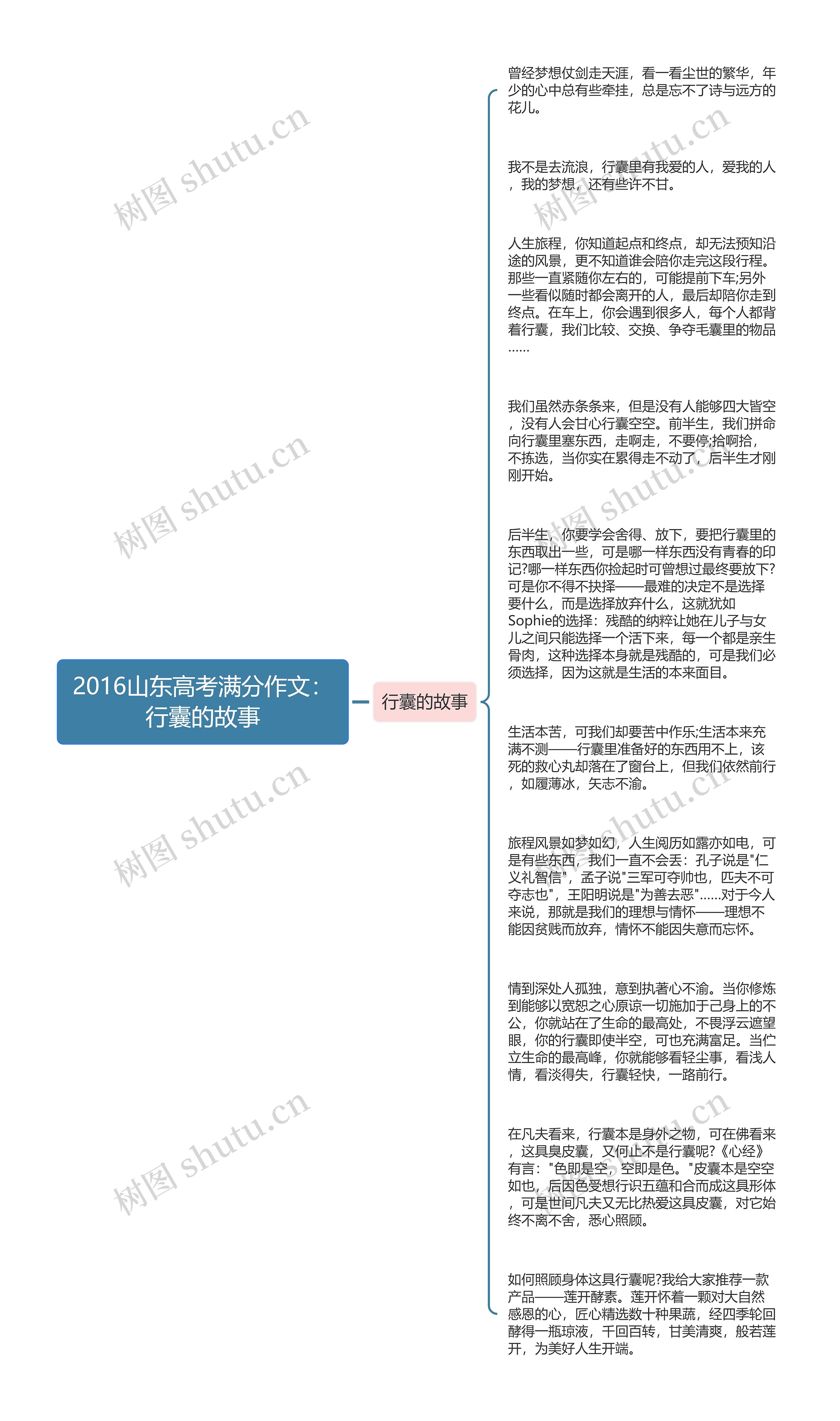 2016山东高考满分作文：行囊的故事