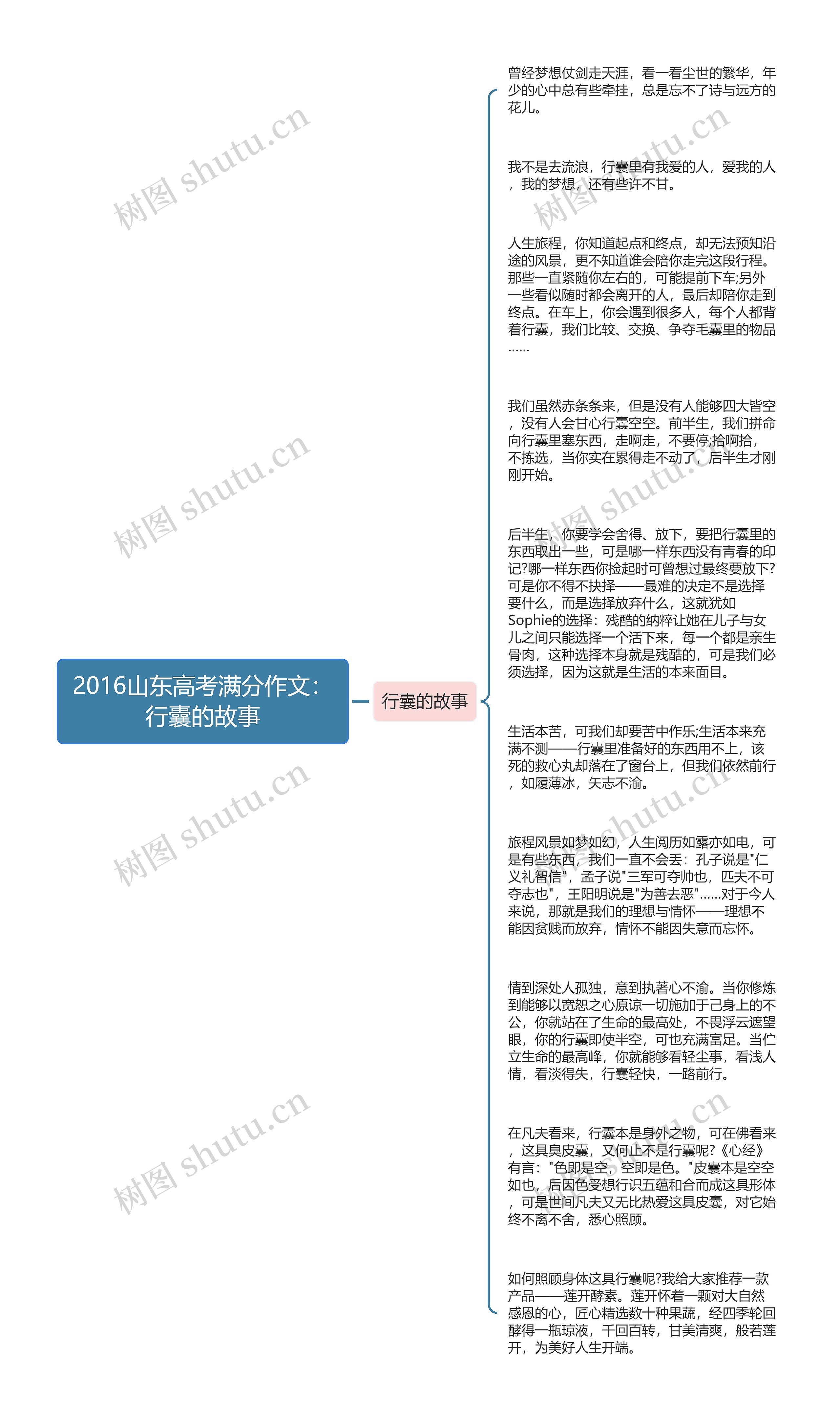 2016山东高考满分作文：行囊的故事思维导图