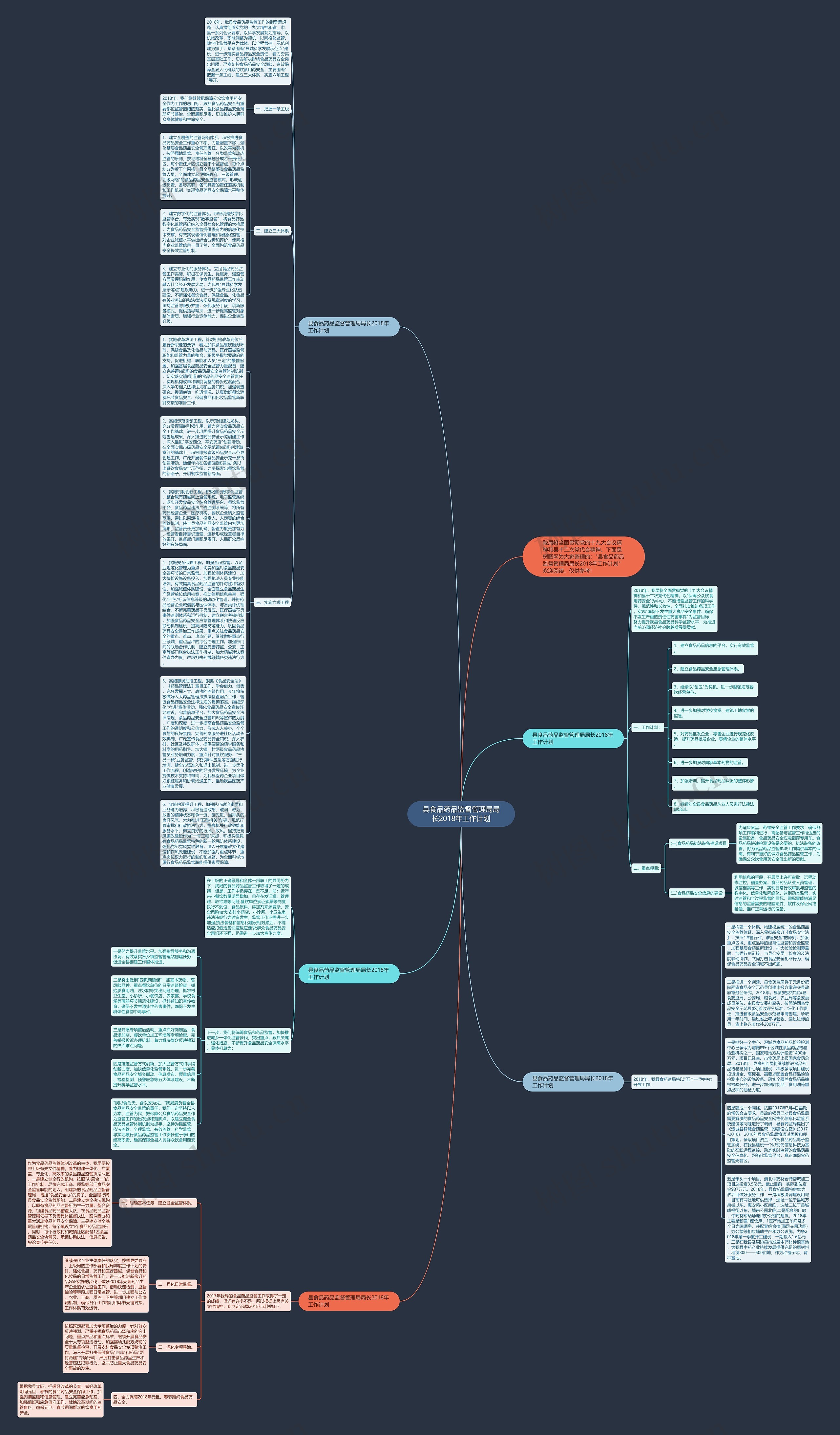 县食品药品监督管理局局长2018年工作计划思维导图