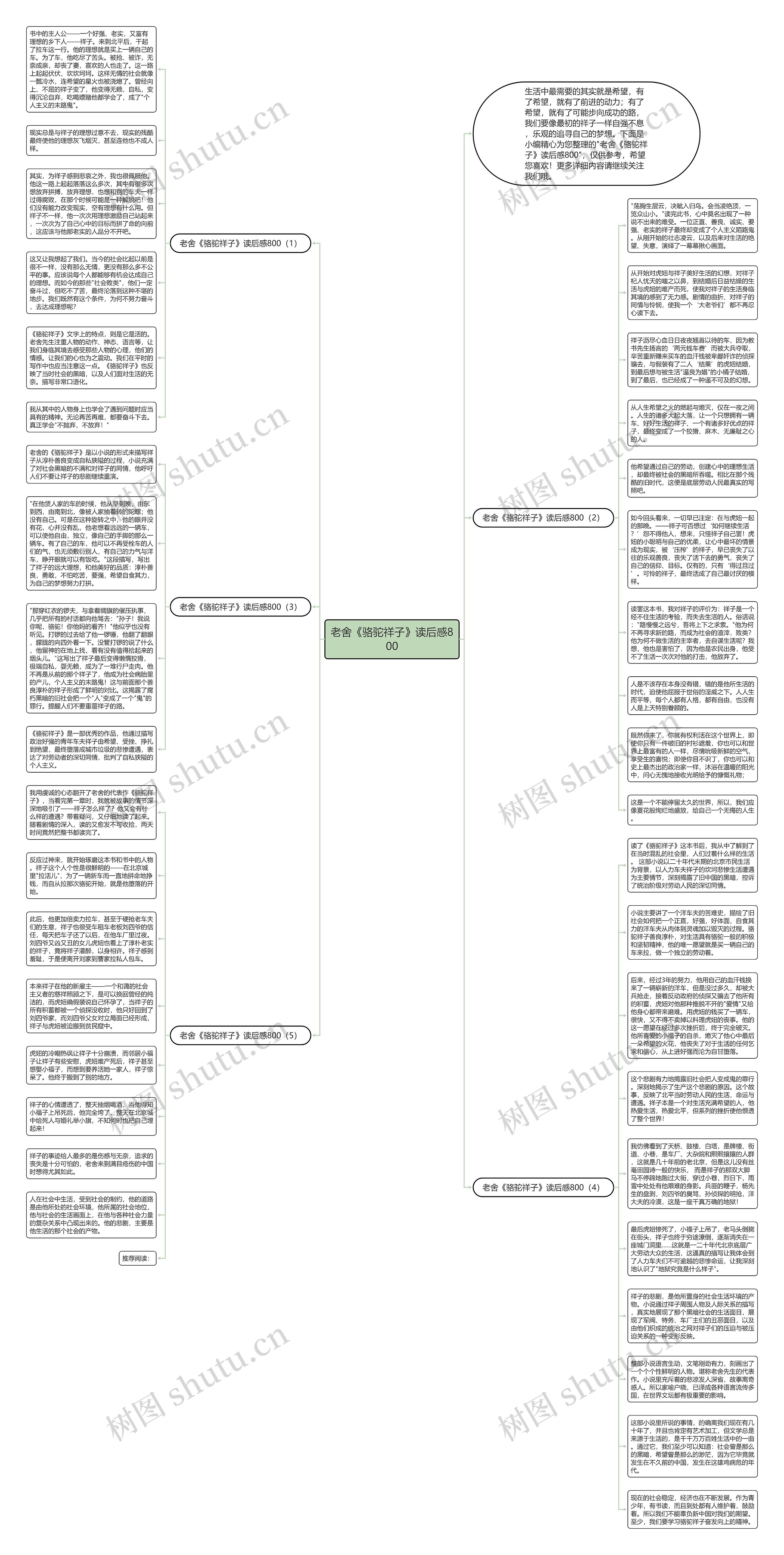 老舍《骆驼祥子》读后感800思维导图