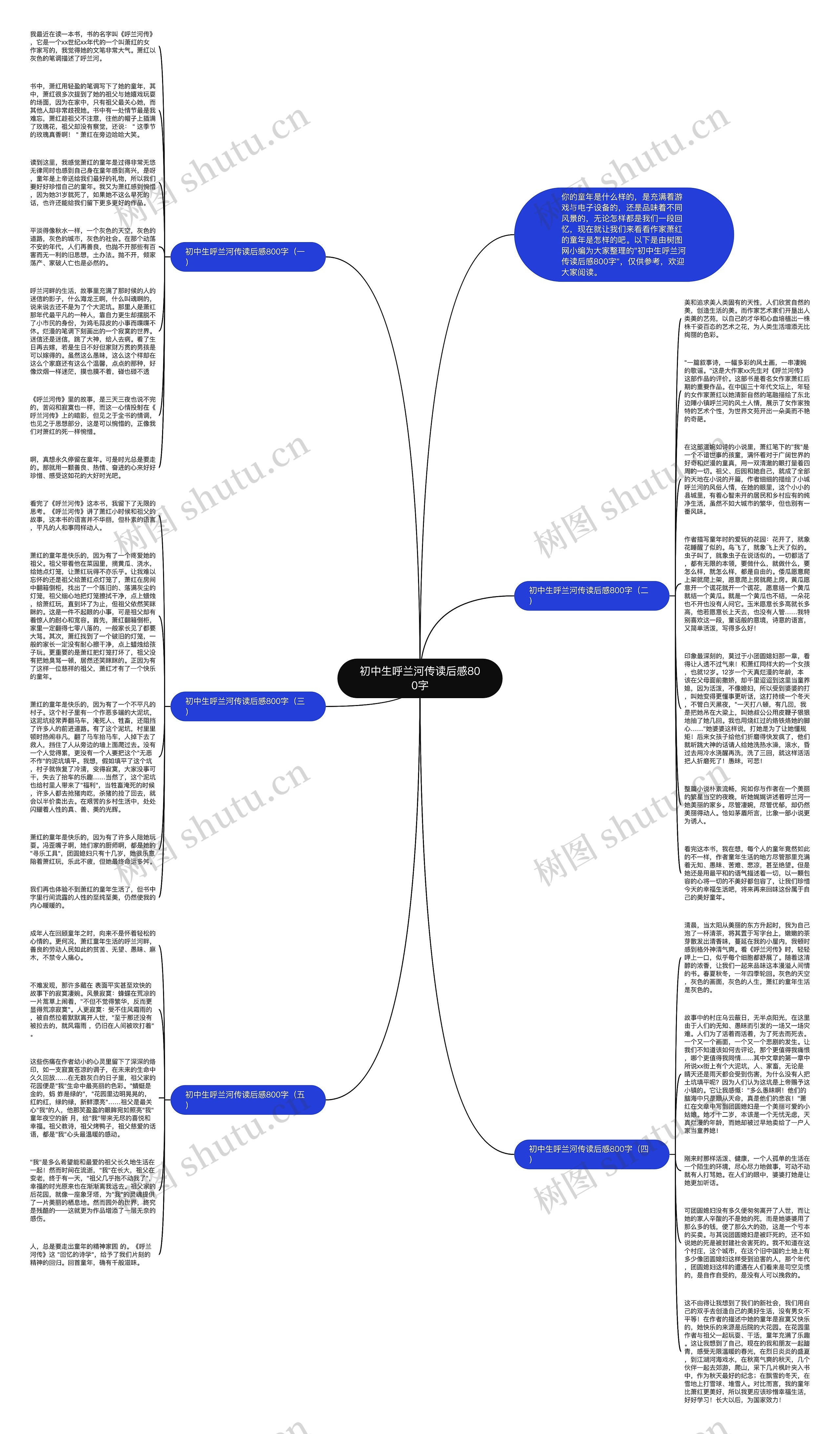 初中生呼兰河传读后感800字思维导图