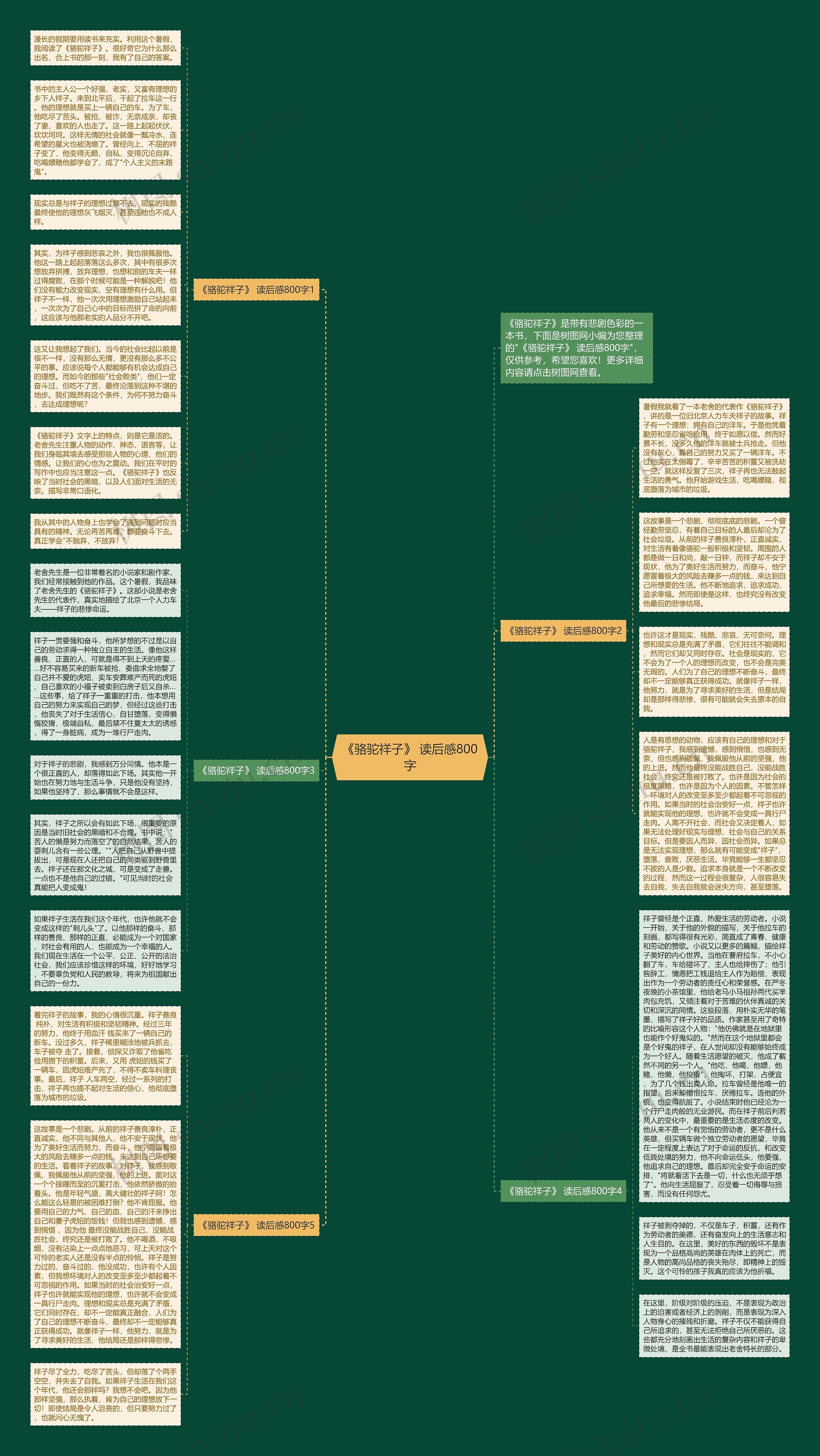 《骆驼祥子》 读后感800字思维导图