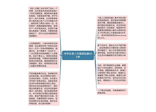 中学生老人与海读后感500字