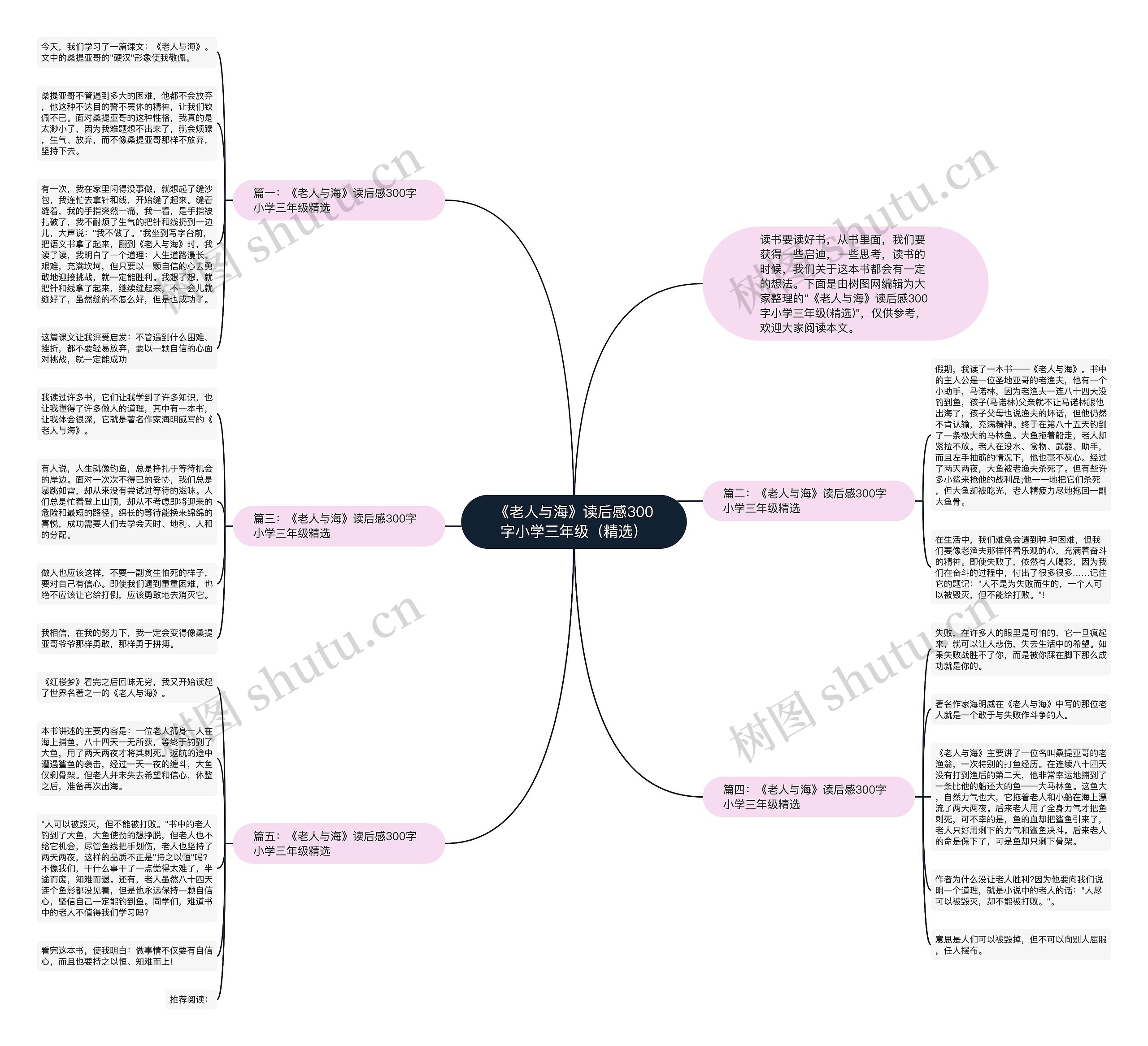 《老人与海》读后感300字小学三年级（精选）思维导图