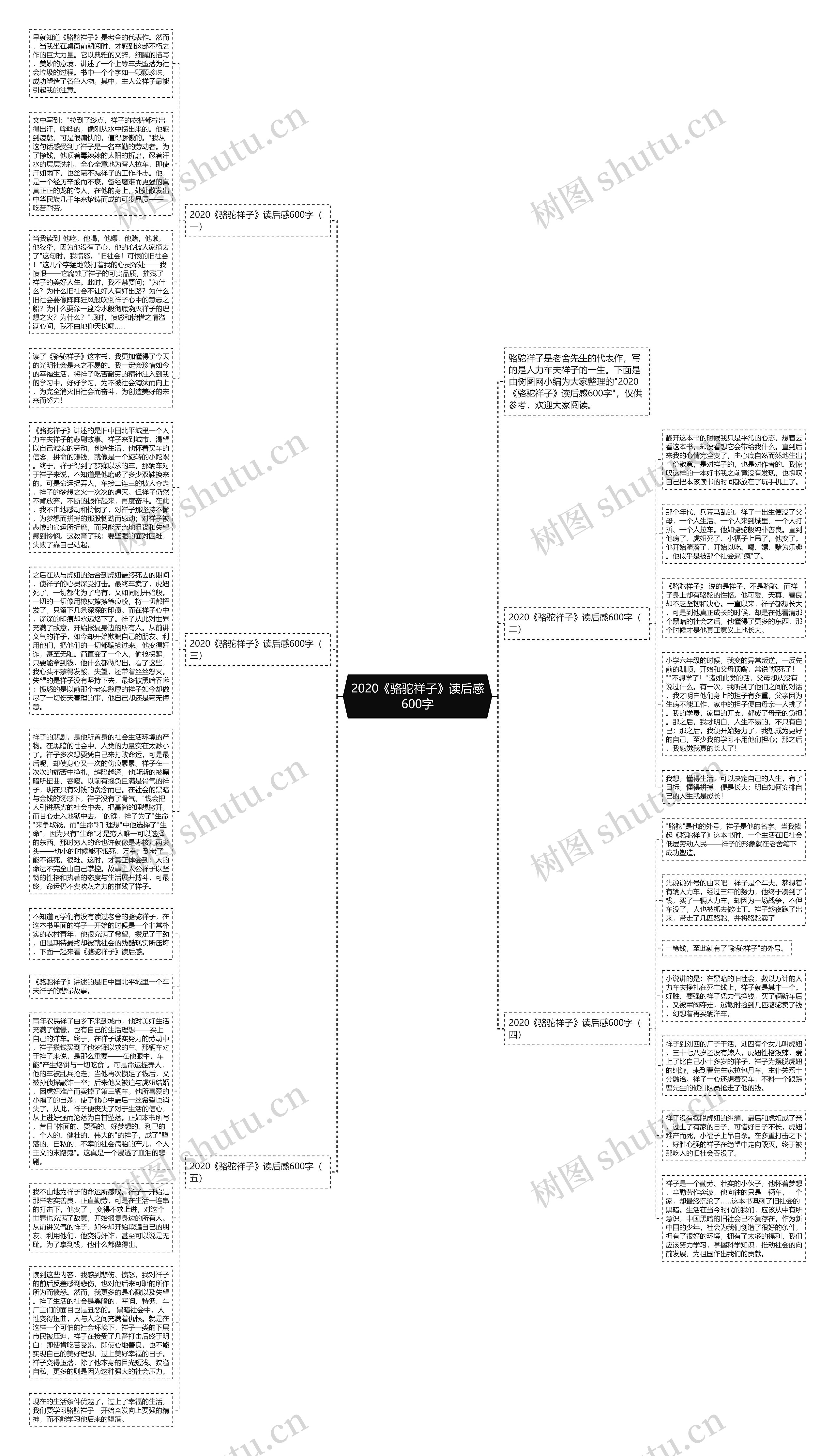 2020《骆驼祥子》读后感600字