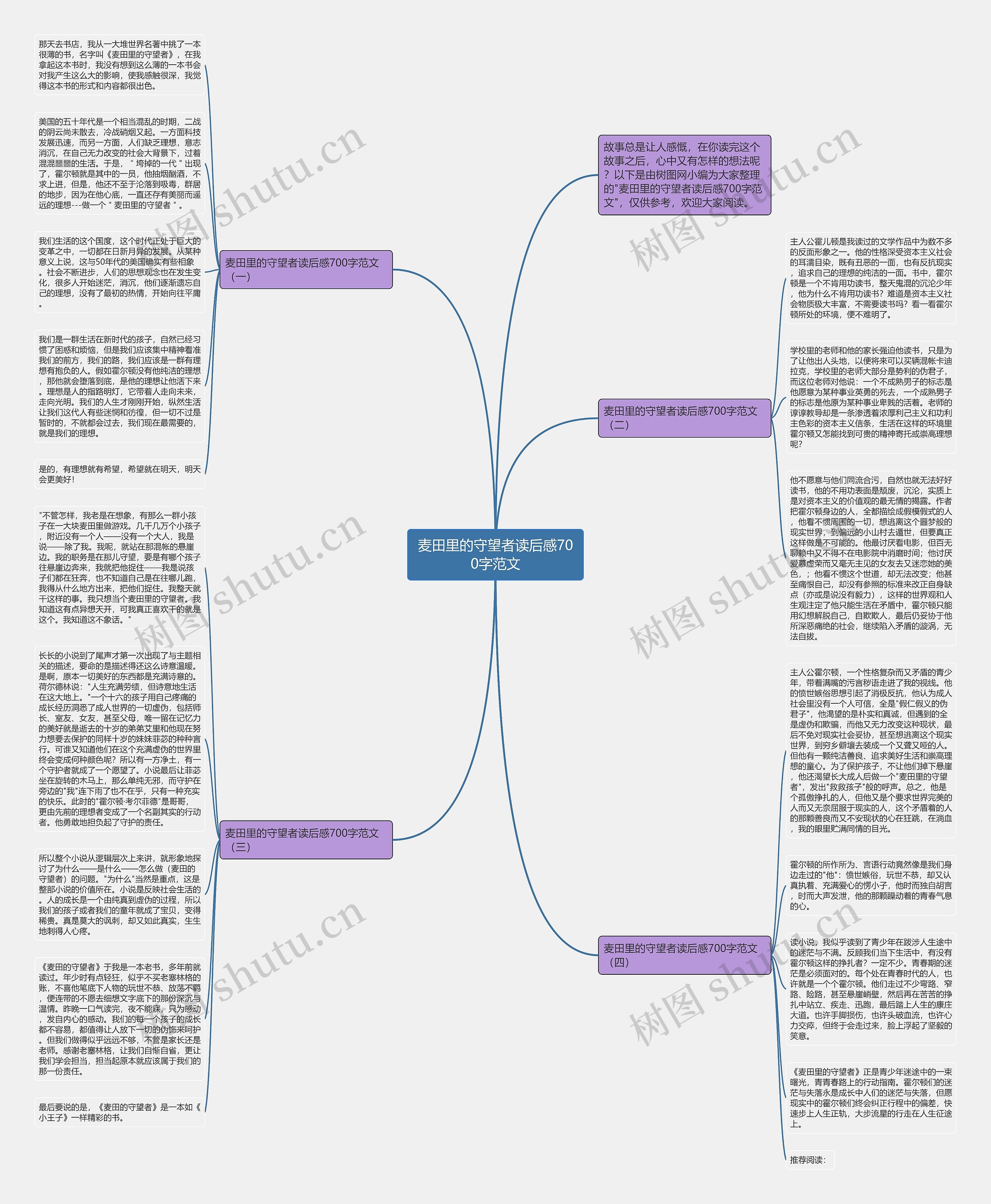 麦田里的守望者读后感700字范文思维导图