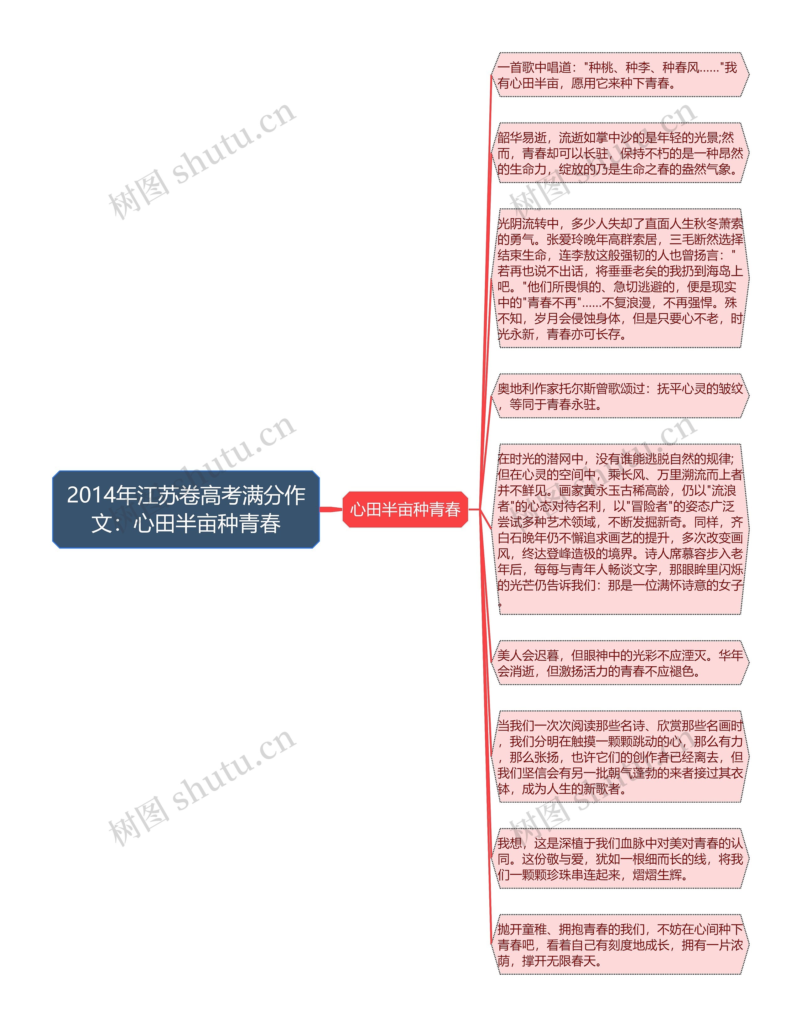 2014年江苏卷高考满分作文：心田半亩种青春