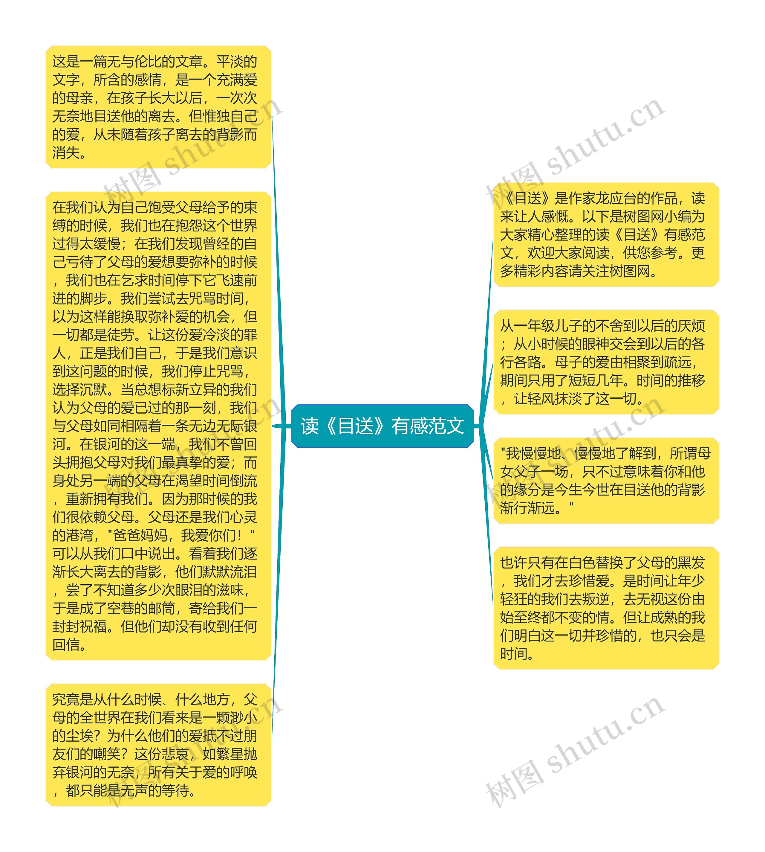 读《目送》有感范文思维导图