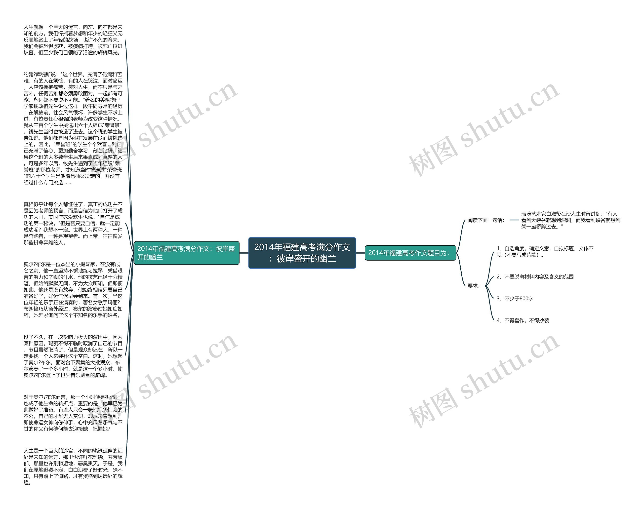 2014年福建高考满分作文：彼岸盛开的幽兰思维导图