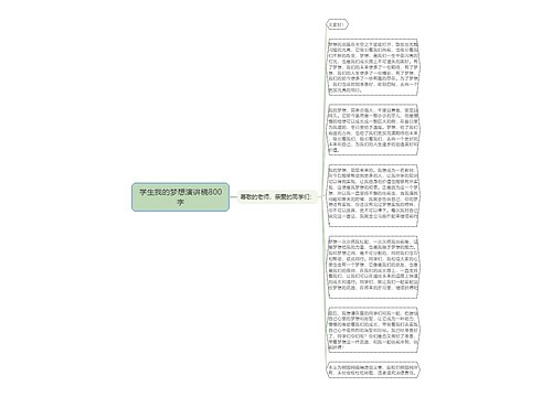 学生我的梦想演讲稿800字