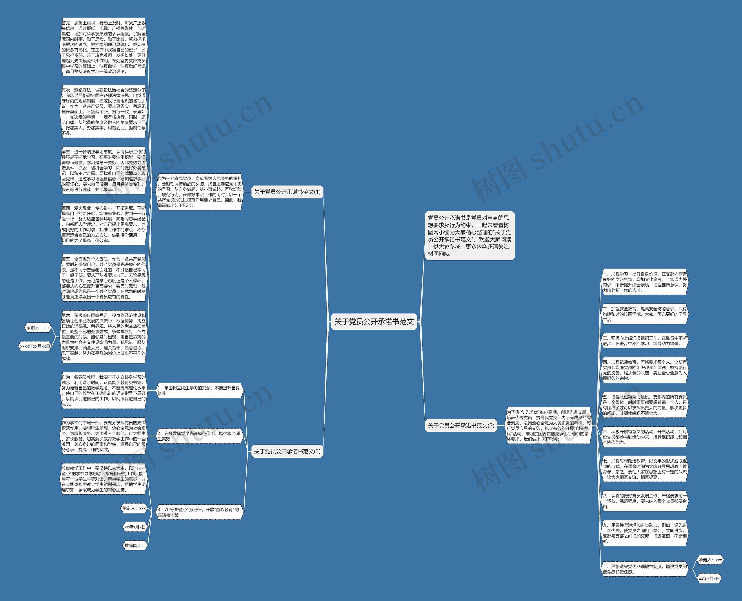 关于党员公开承诺书范文思维导图