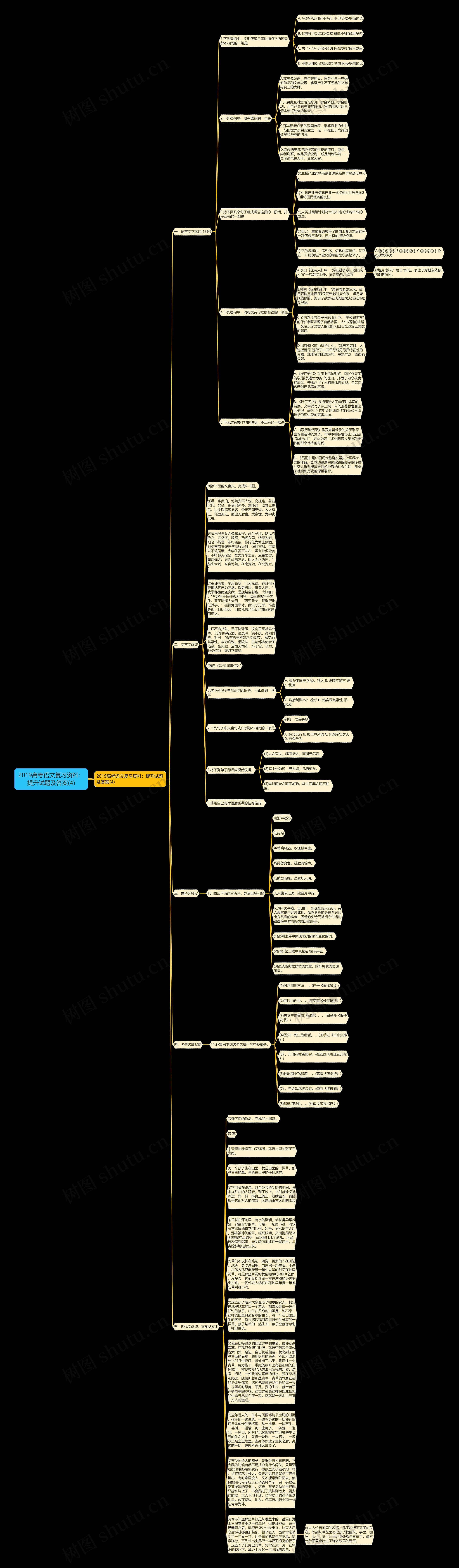 2019高考语文复习资料：提升试题及答案(4)思维导图