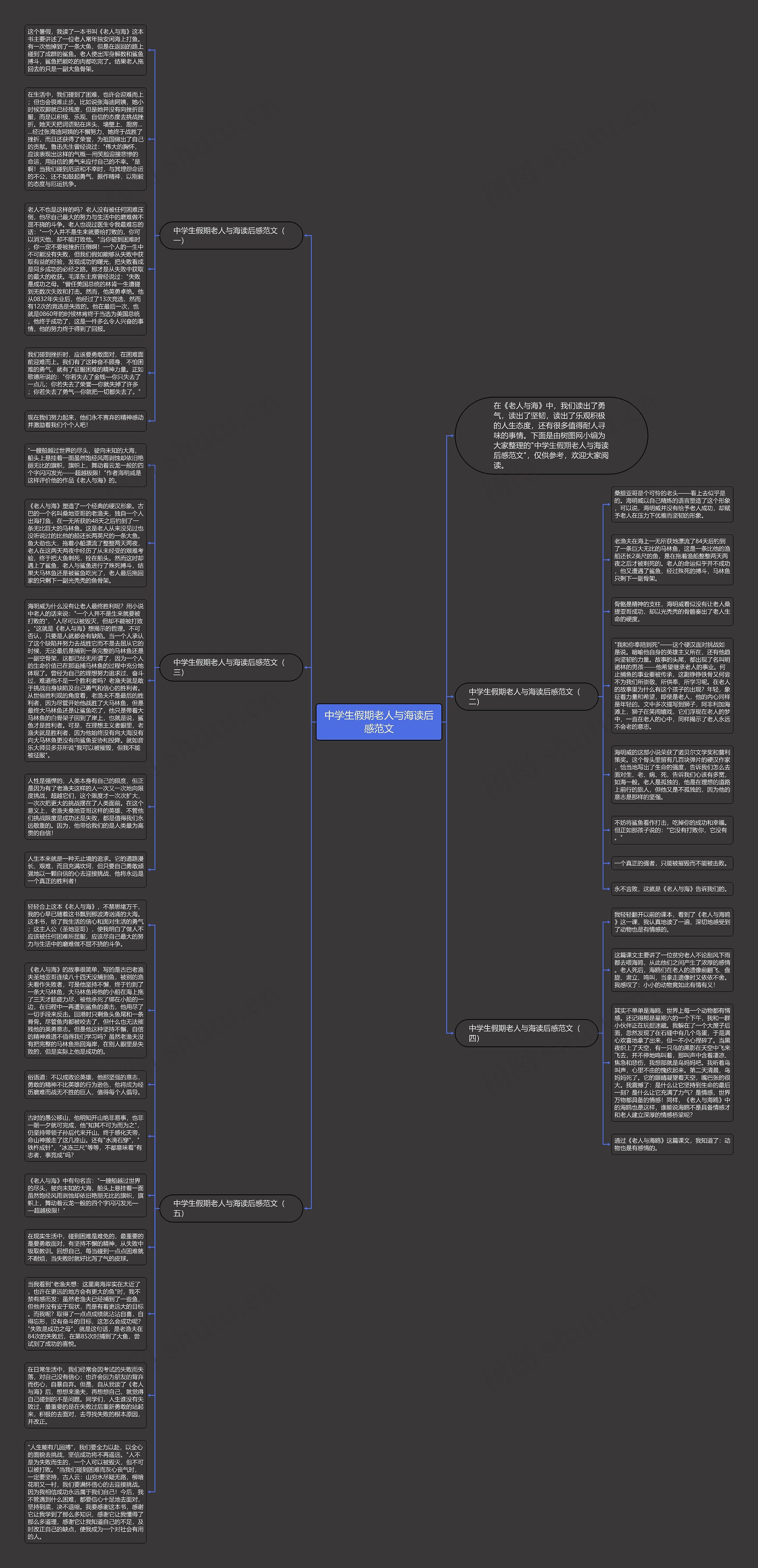 中学生假期老人与海读后感范文思维导图