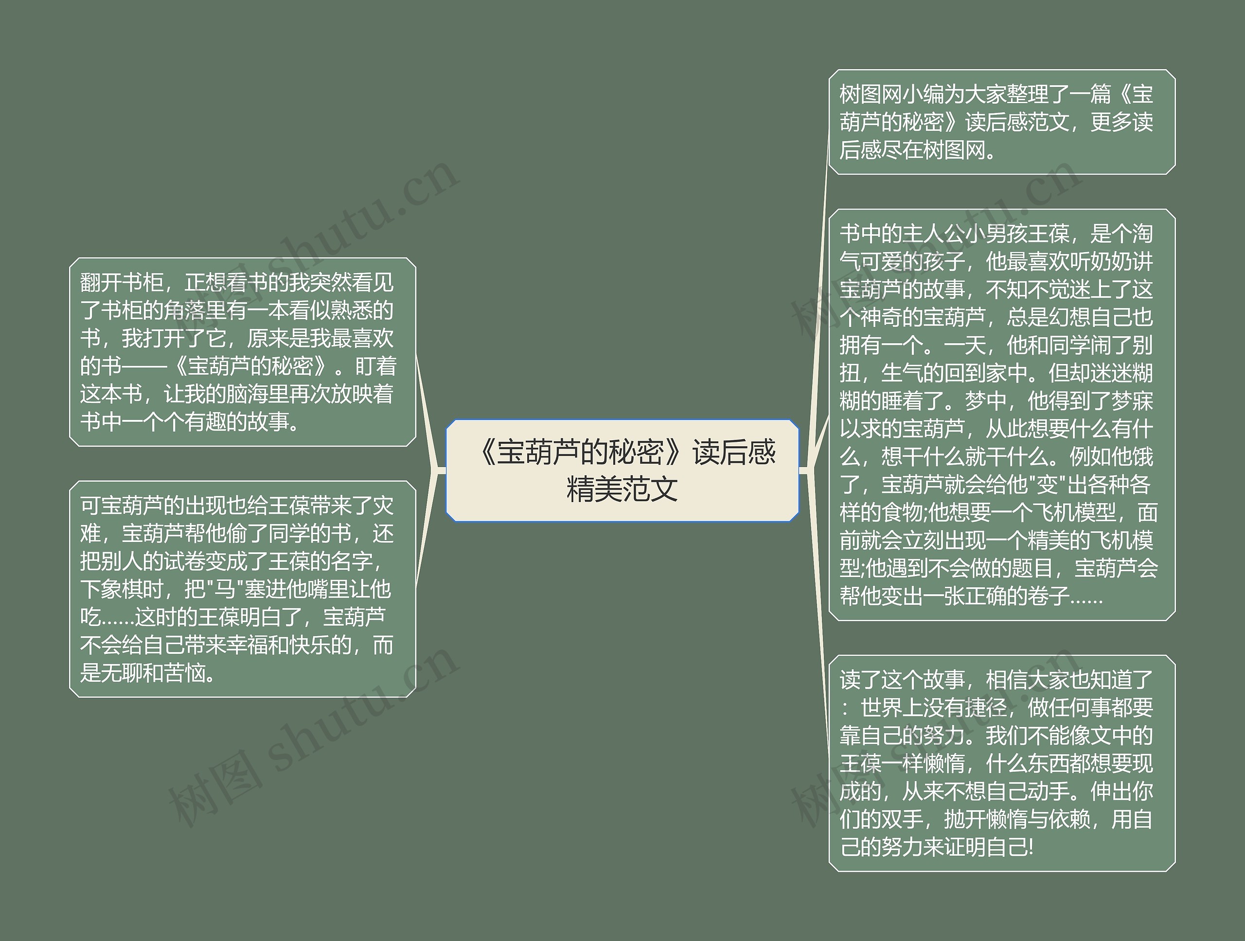 《宝葫芦的秘密》读后感精美范文思维导图