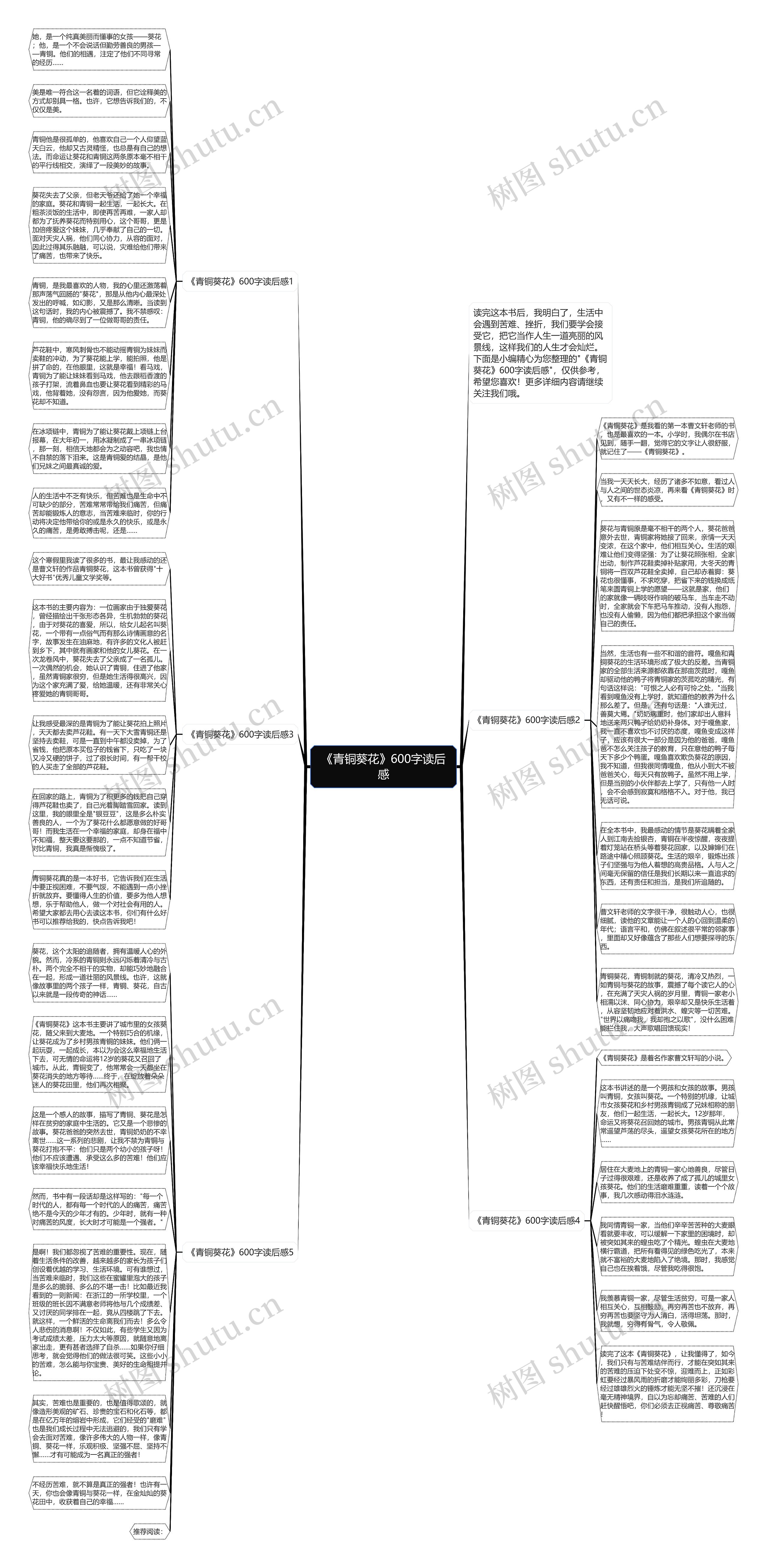 《青铜葵花》600字读后感思维导图
