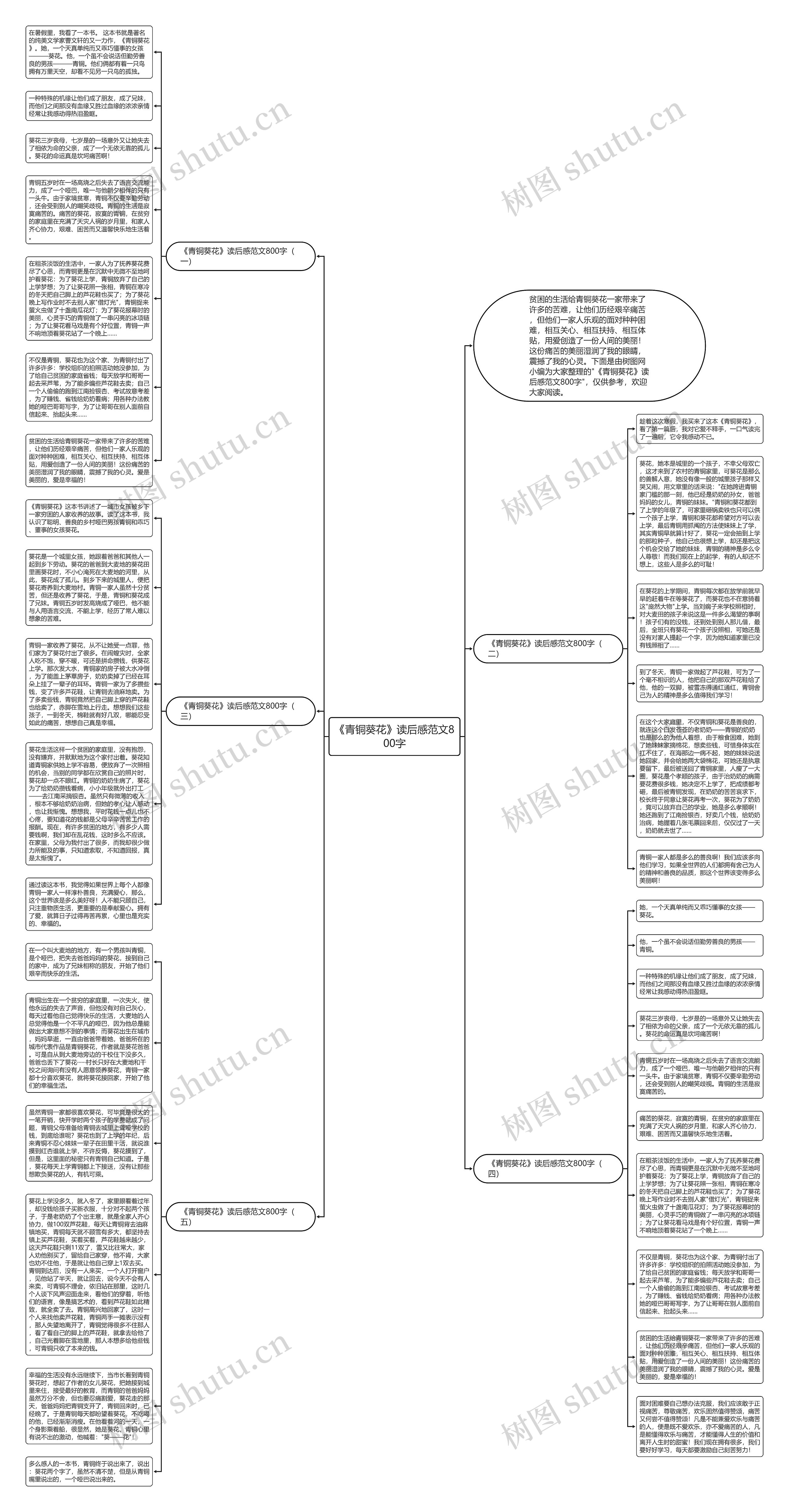 《青铜葵花》读后感范文800字