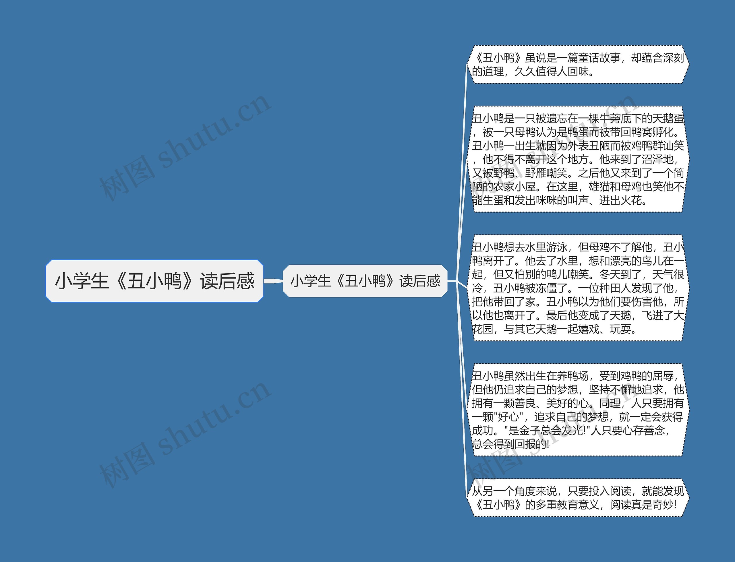 小学生《丑小鸭》读后感