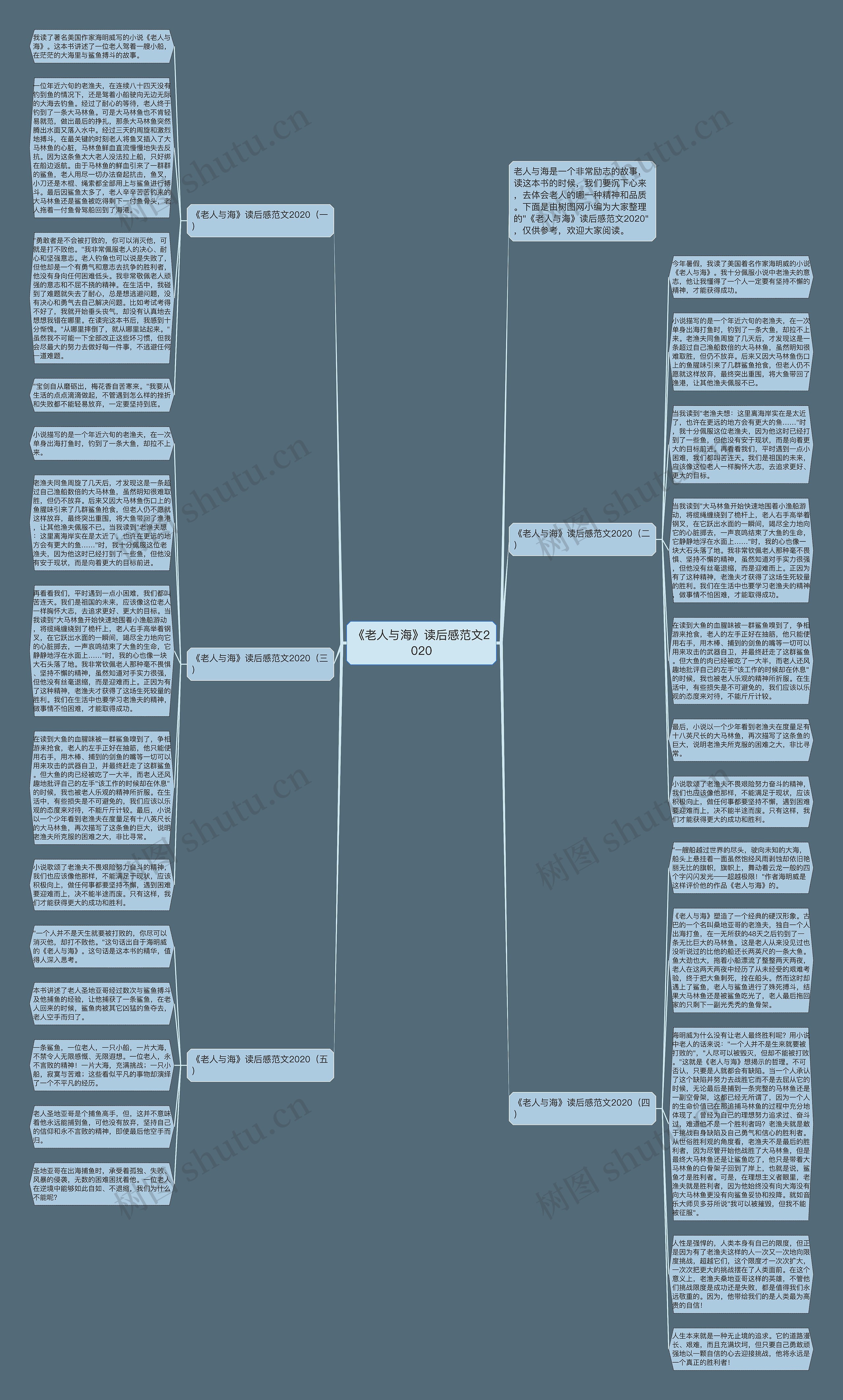 《老人与海》读后感范文2020思维导图