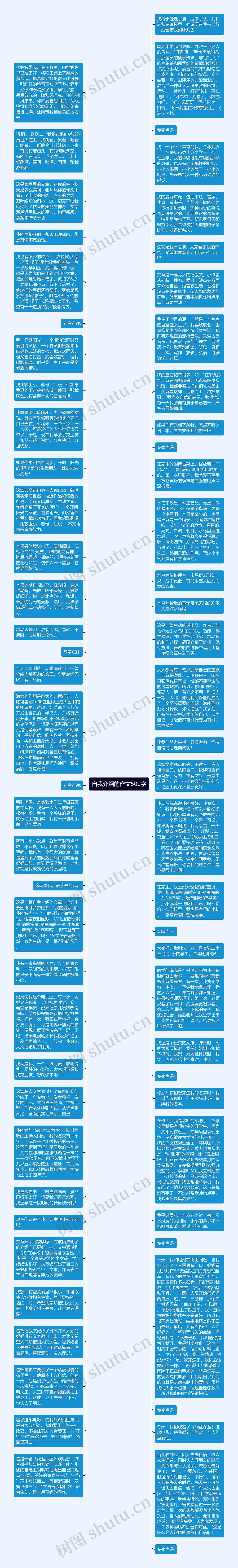 自我介绍的作文500字思维导图