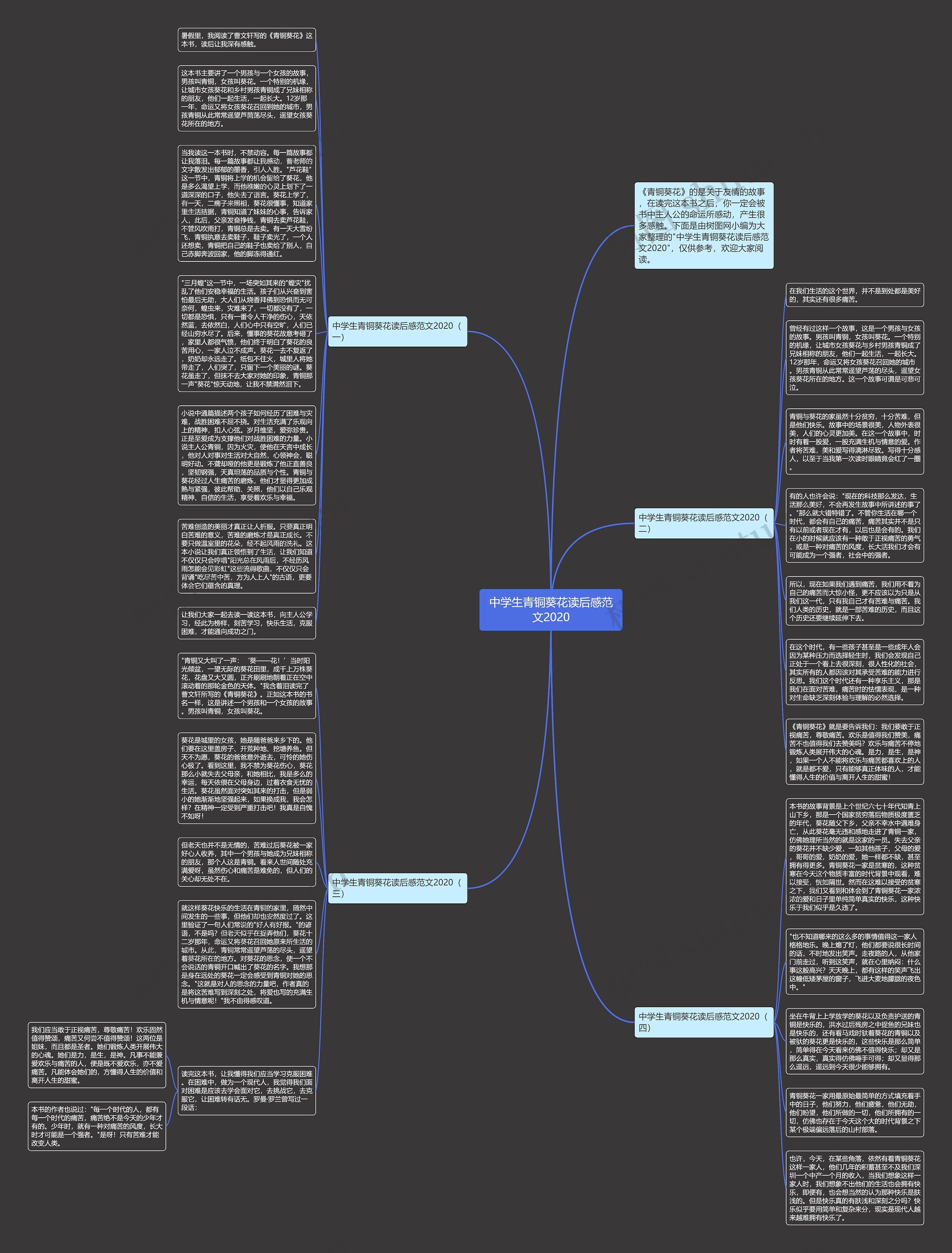 中学生青铜葵花读后感范文2020思维导图