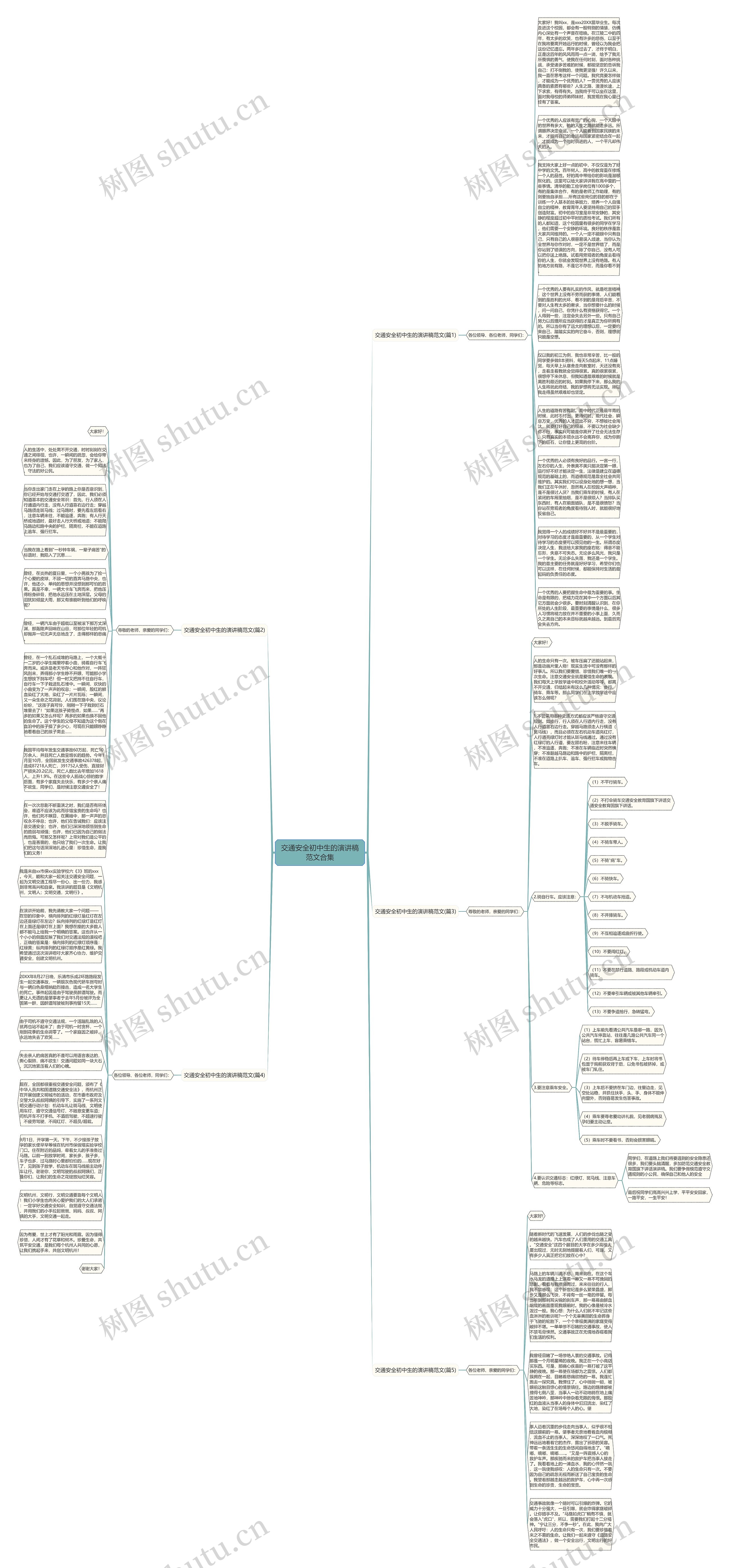 交通安全初中生的演讲稿范文合集思维导图