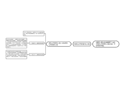 党员公开承诺书小结