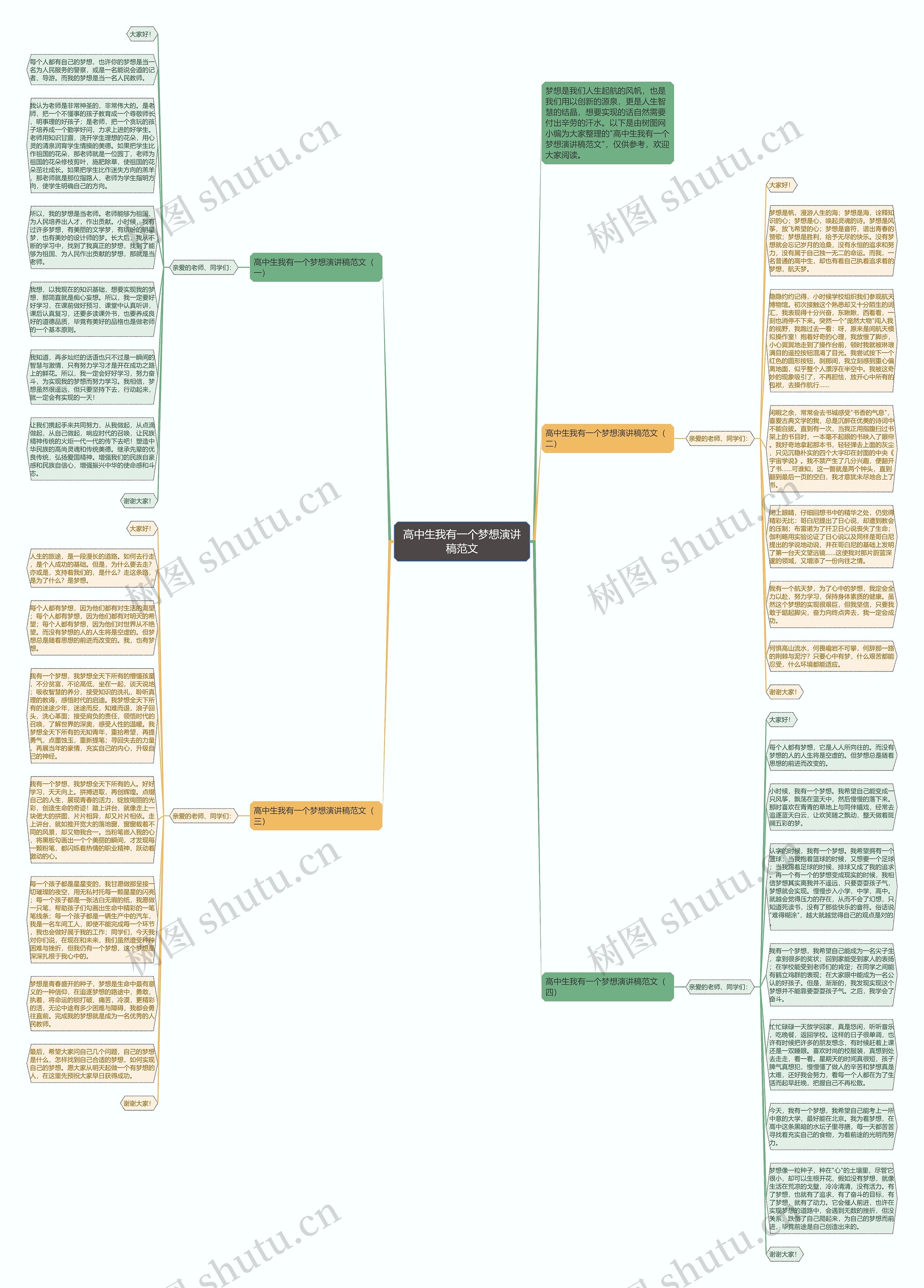 高中生我有一个梦想演讲稿范文思维导图