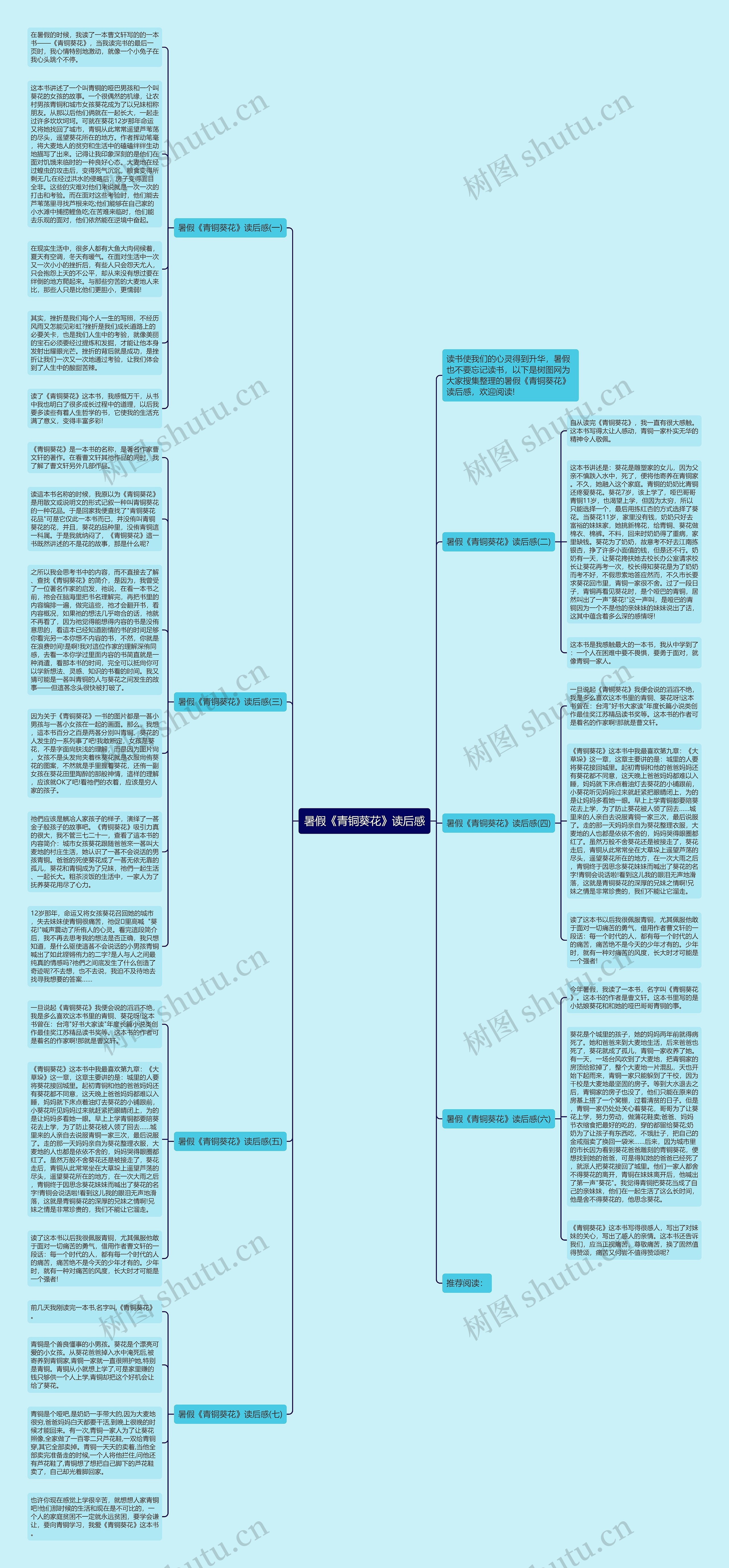 暑假《青铜葵花》读后感思维导图