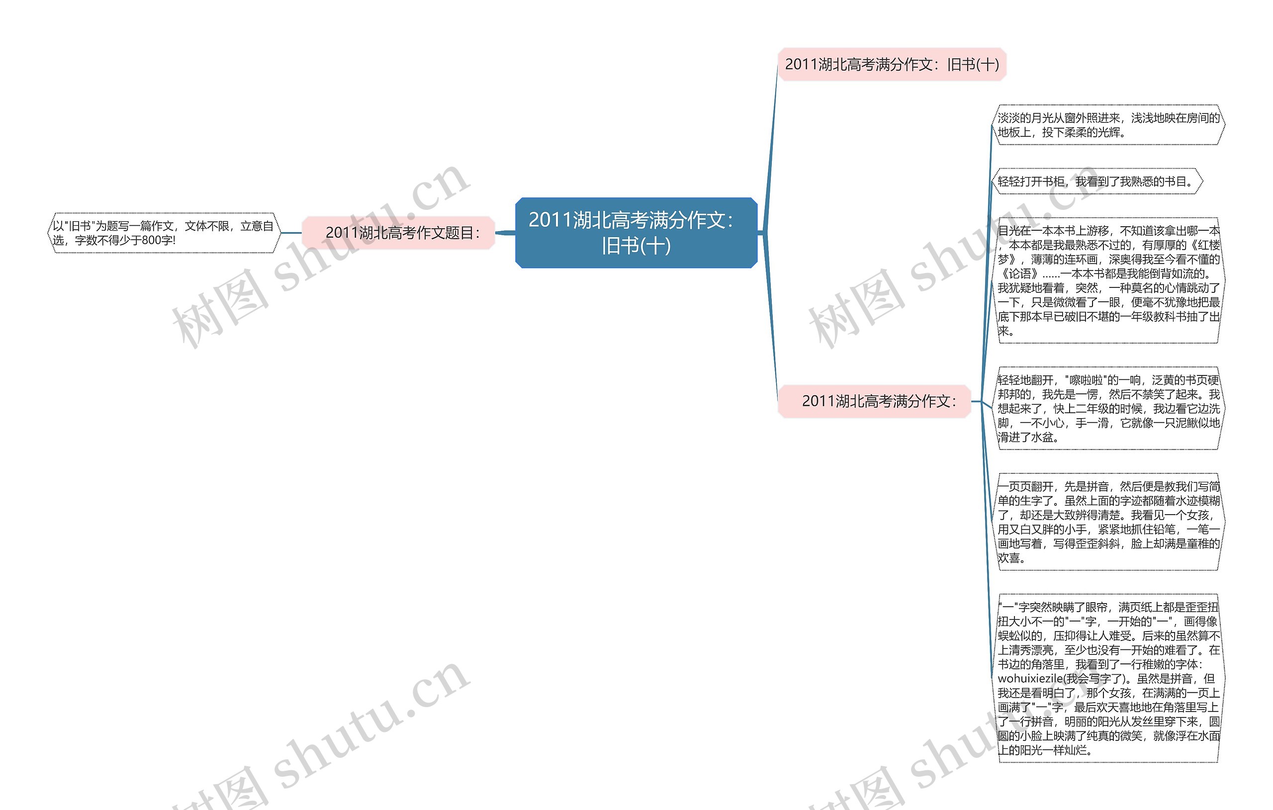 2011湖北高考满分作文：旧书(十)思维导图