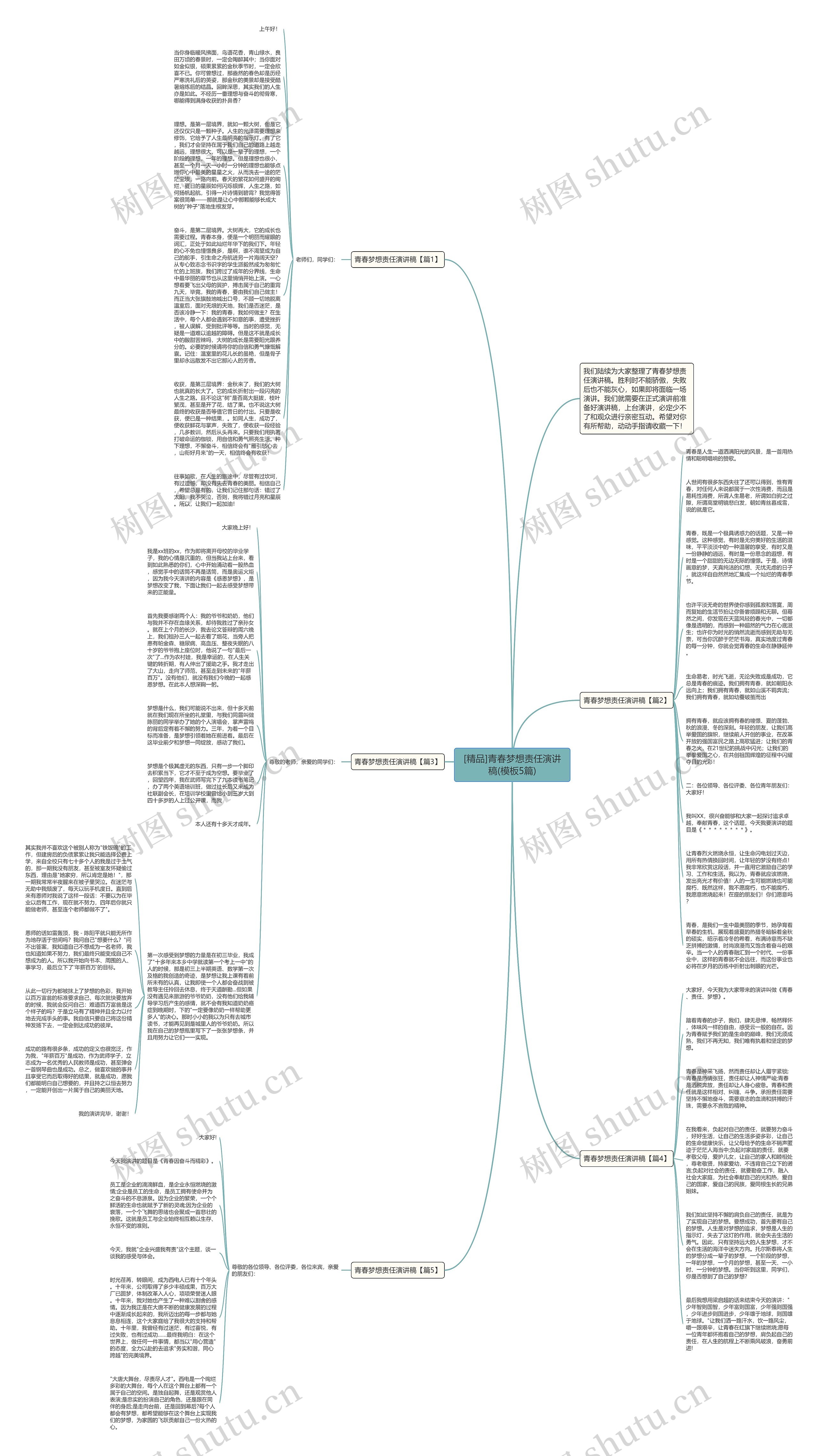 [精品]青春梦想责任演讲稿(5篇)思维导图