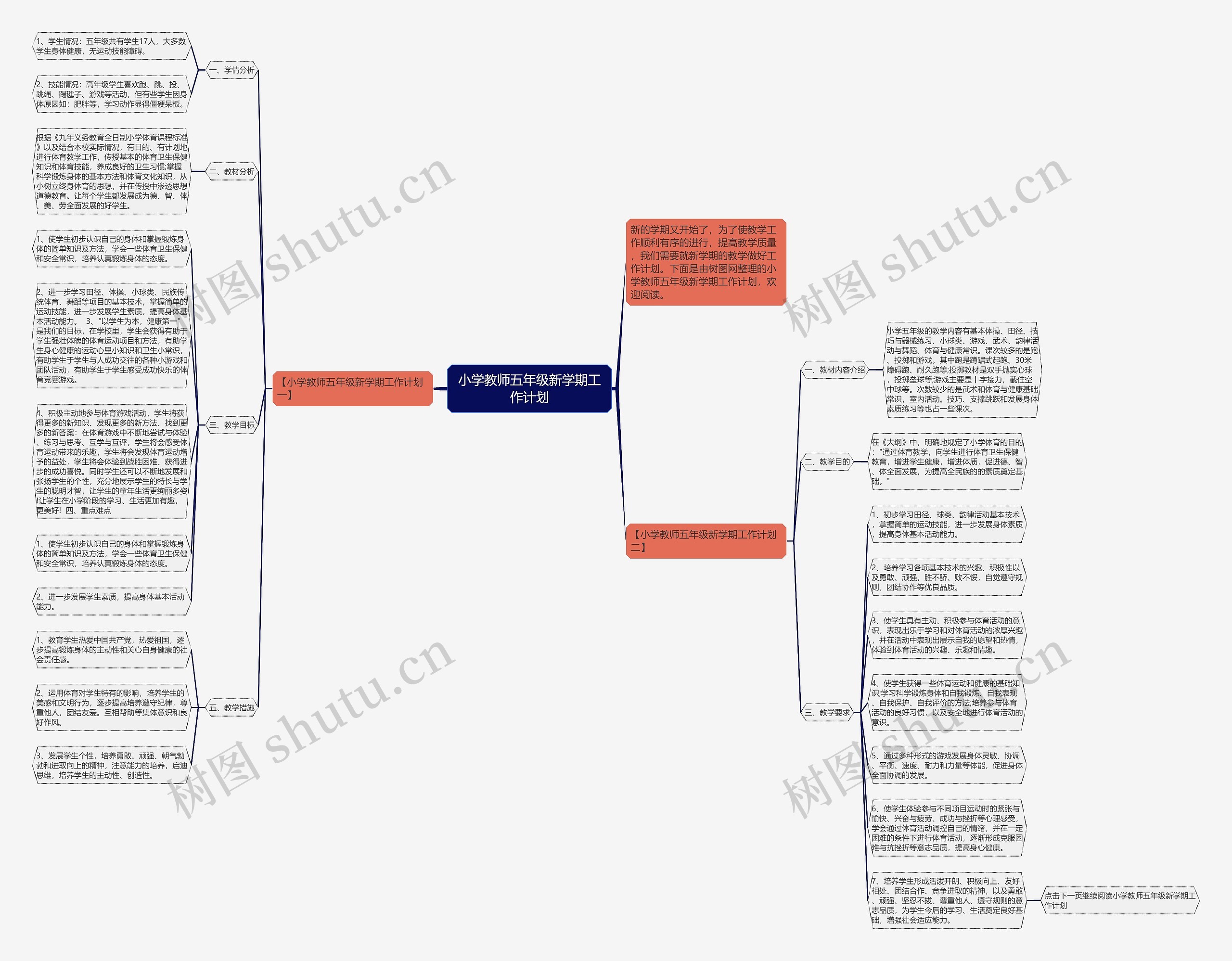 小学教师五年级新学期工作计划思维导图