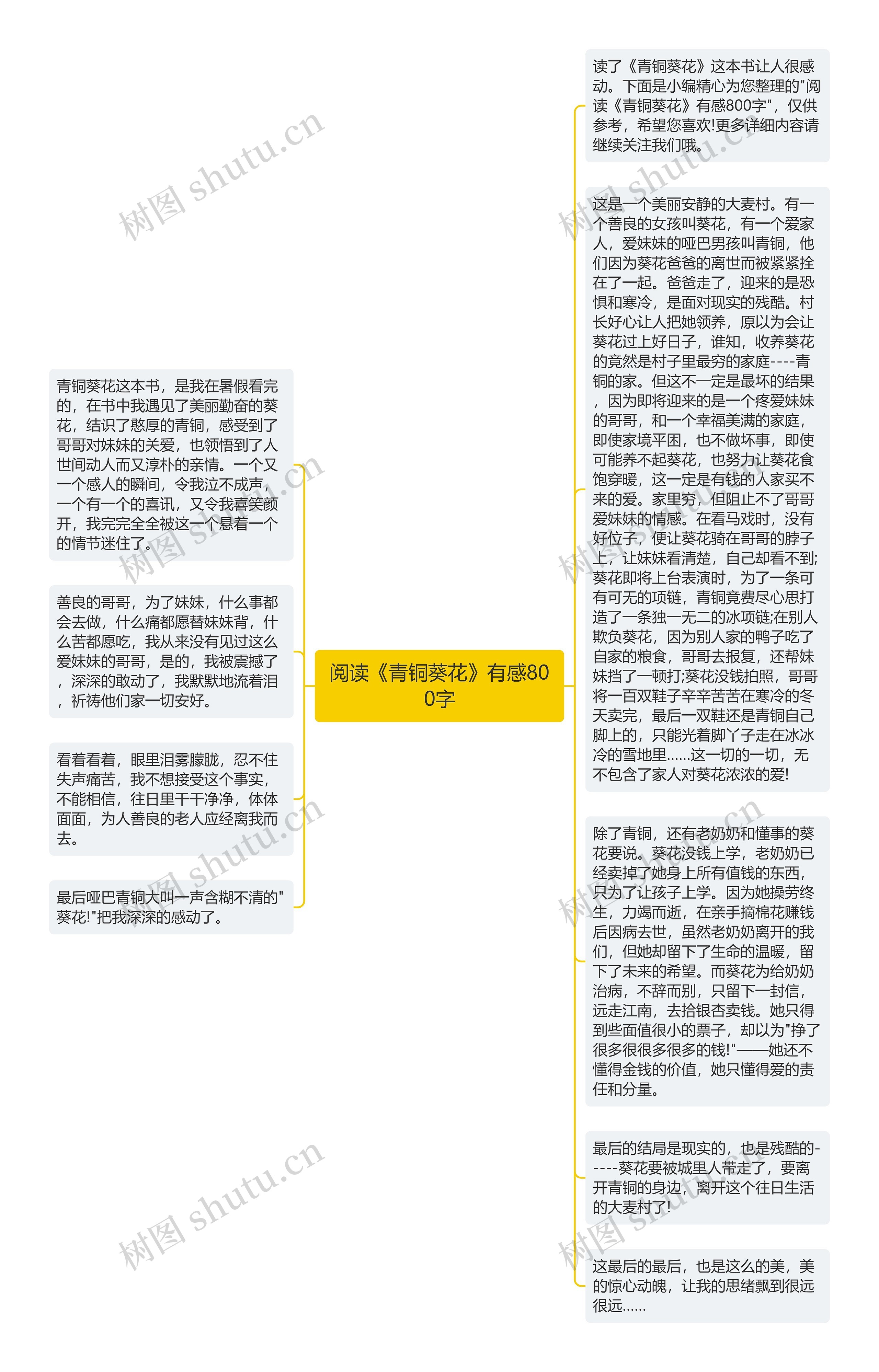 阅读《青铜葵花》有感800字