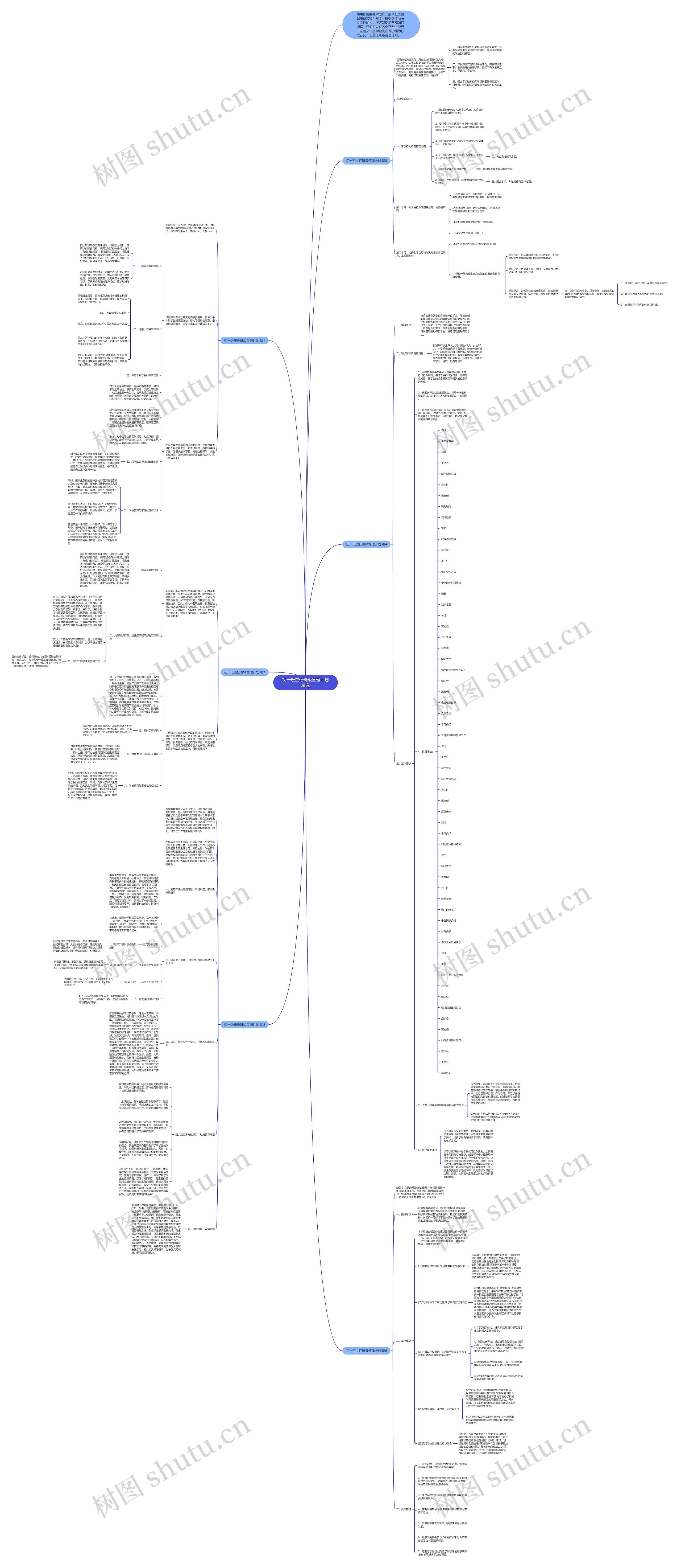 初一班主任班级管理计划精选思维导图