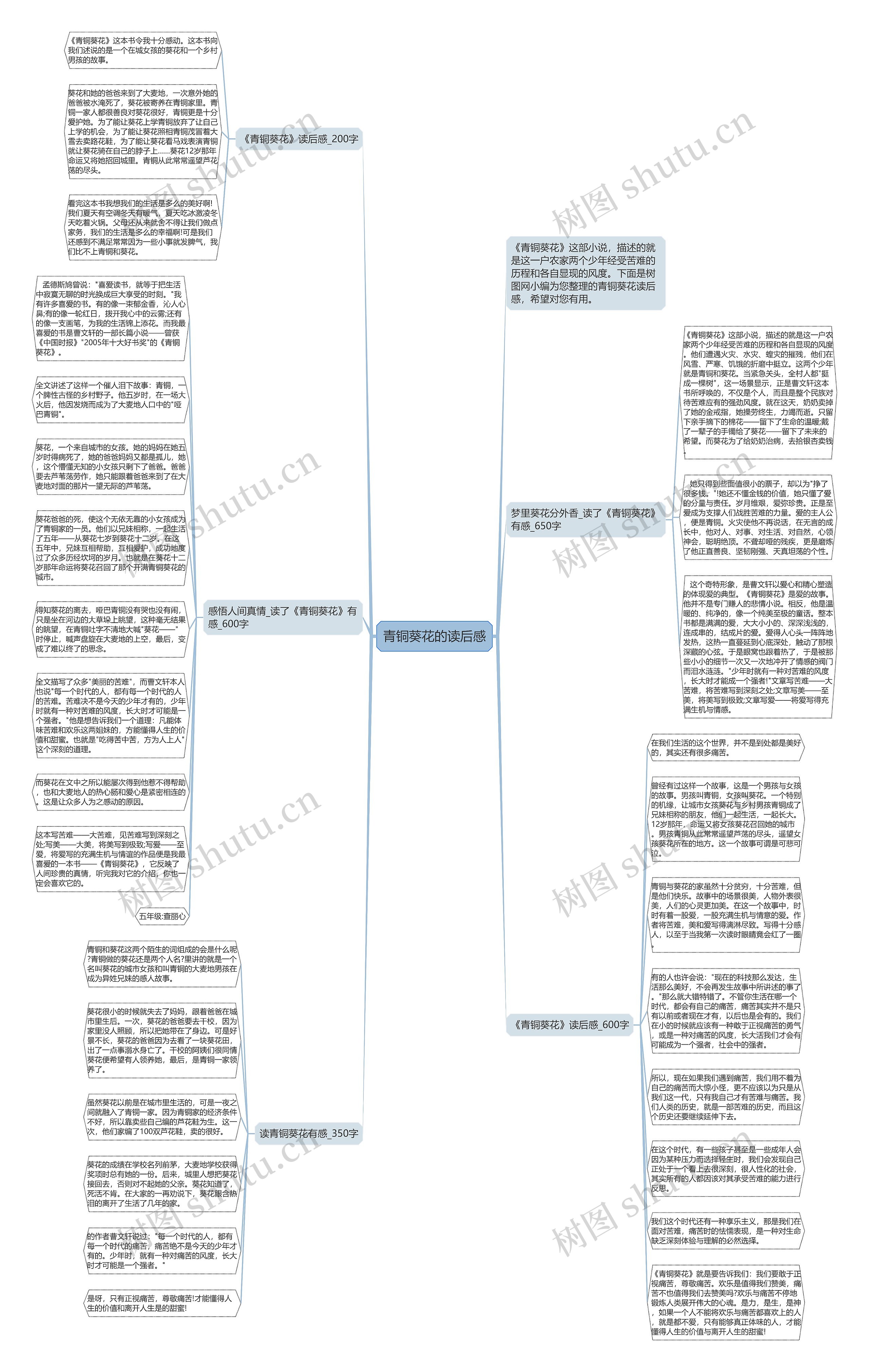 青铜葵花的读后感思维导图