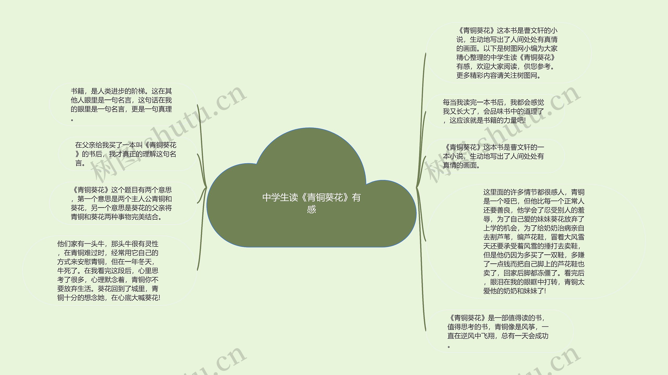 中学生读《青铜葵花》有感