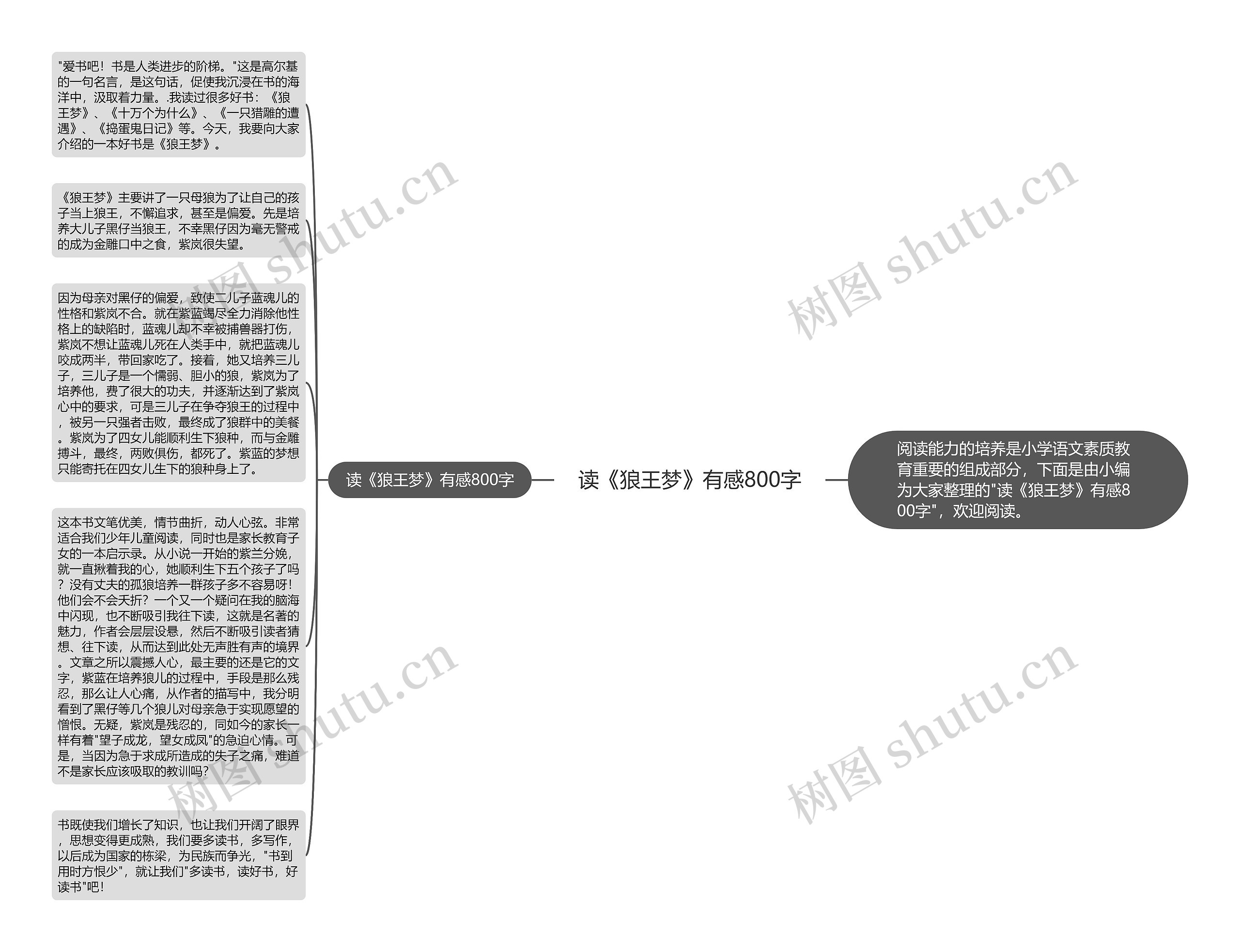 读《狼王梦》有感800字思维导图