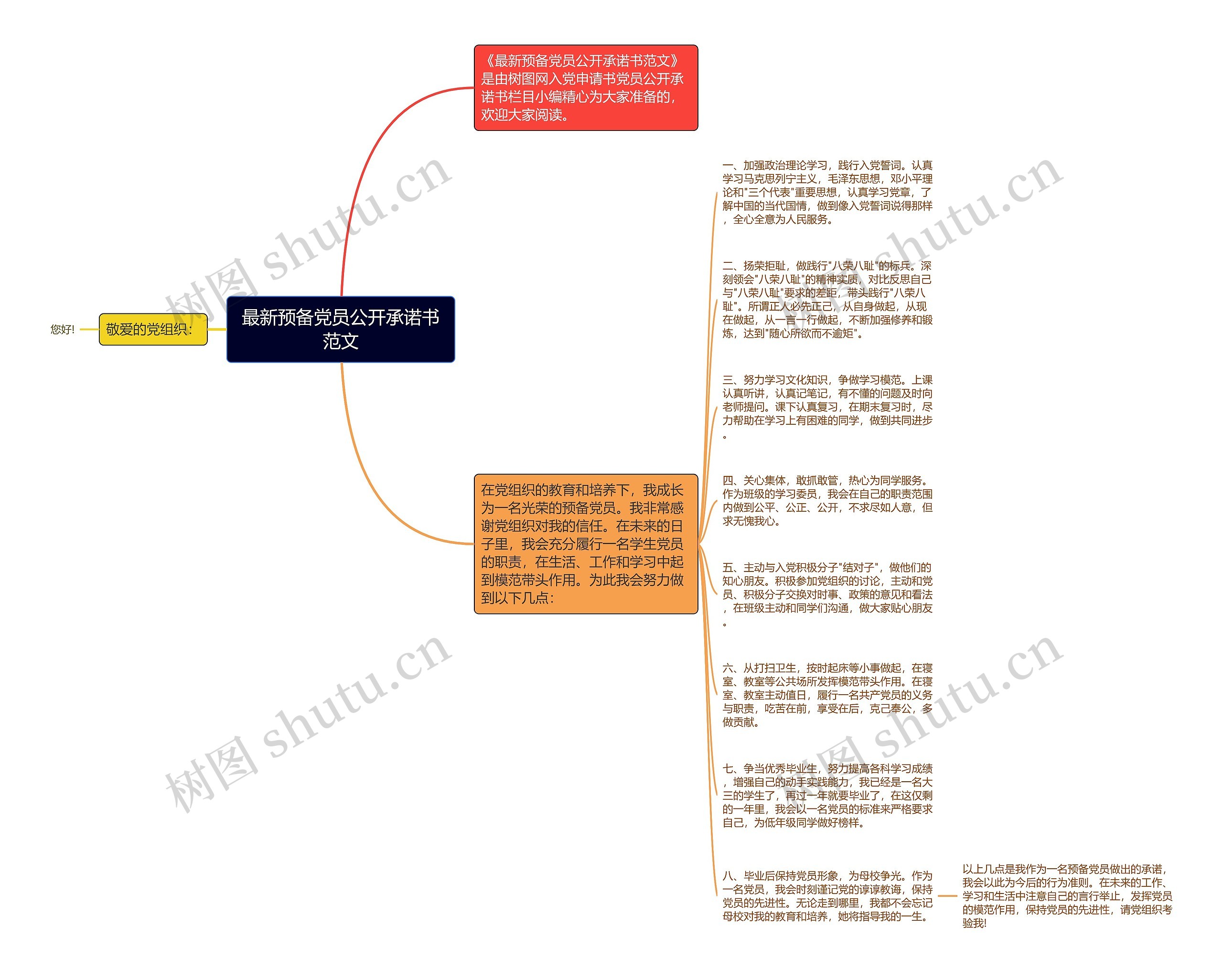 最新预备党员公开承诺书范文